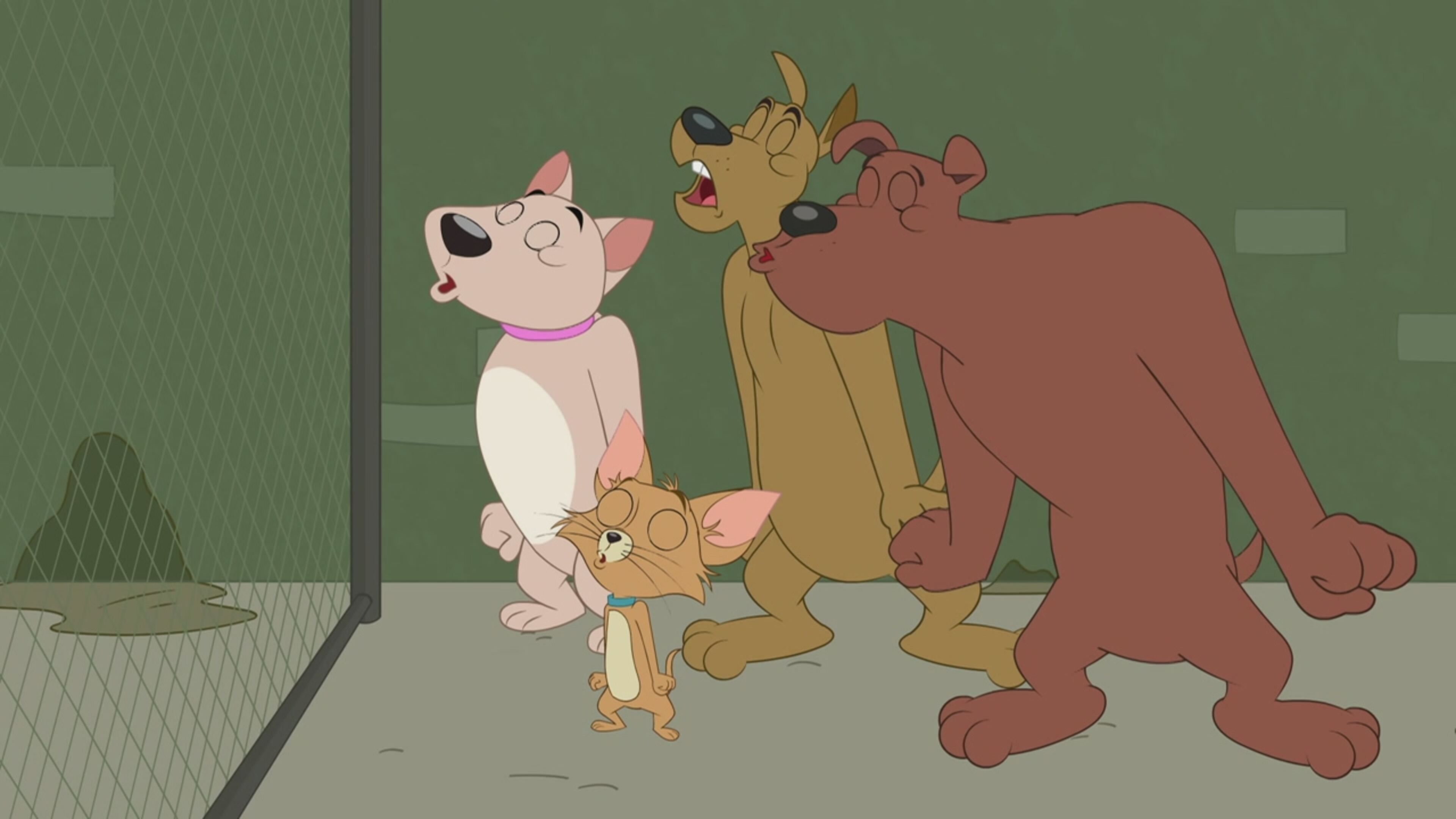 The Tom and Jerry Show - S5 Ep.34 - Musica al rifugio