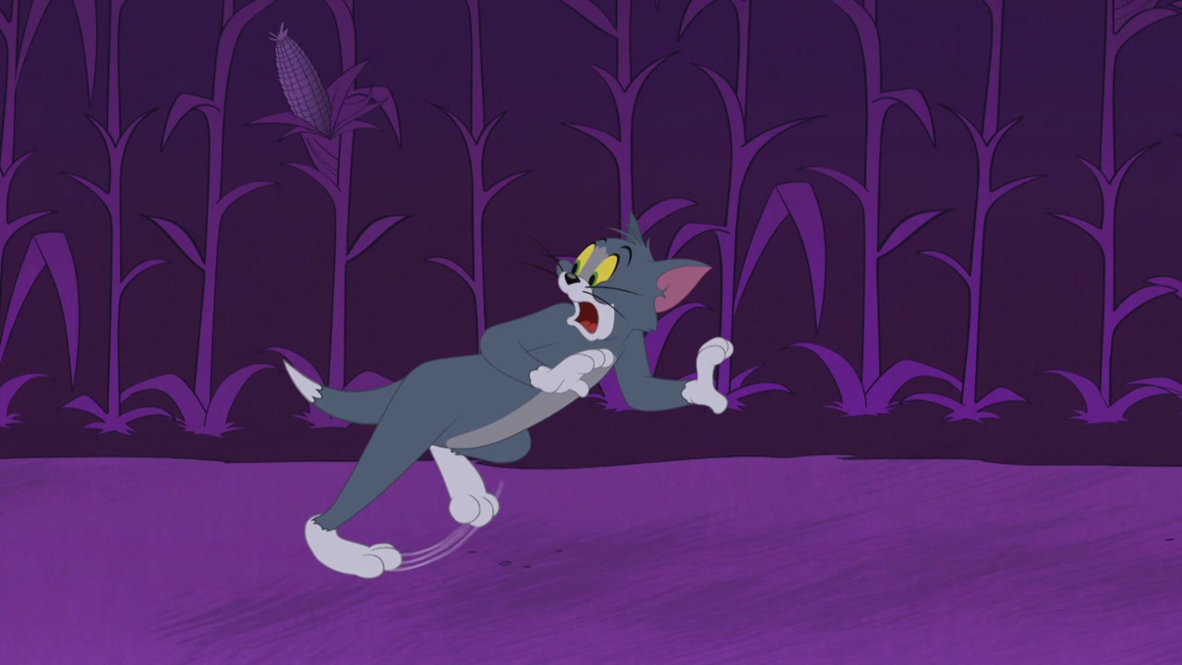 The Tom and Jerry Show - S4 Ep.56 - Ho perso la zucca