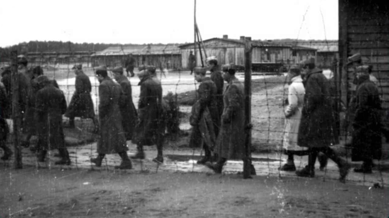 Passato e Presente - IMI. Voci dalla prigionia - 22/11/2017