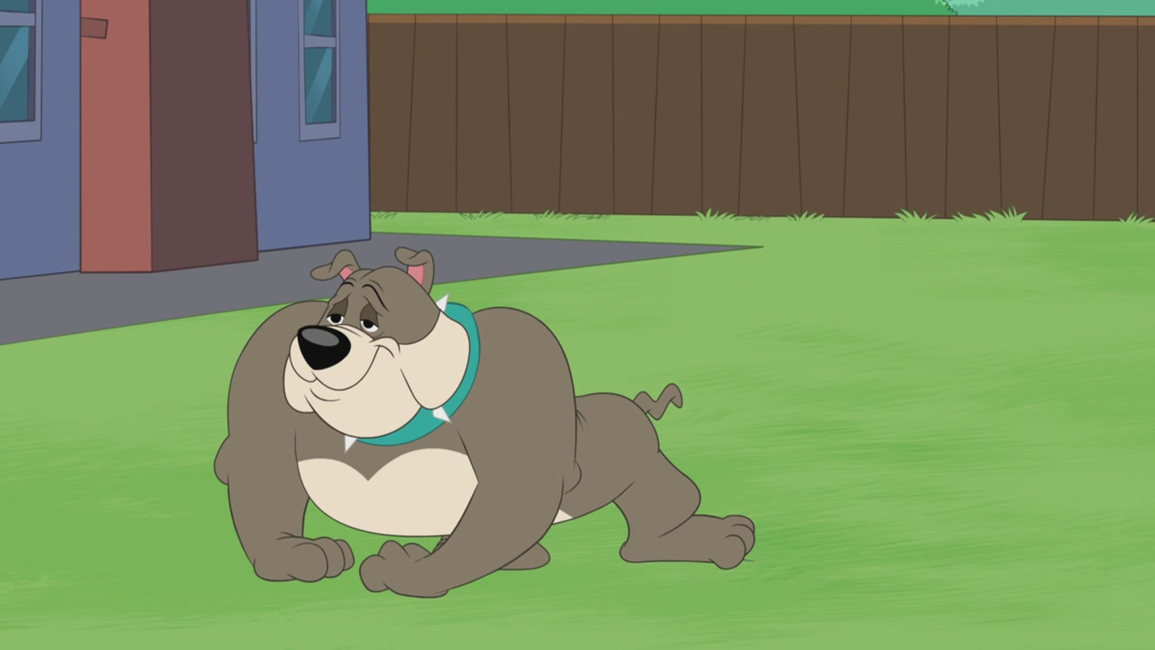 The Tom and Jerry Show - S5 Ep.22 - Il capobranco