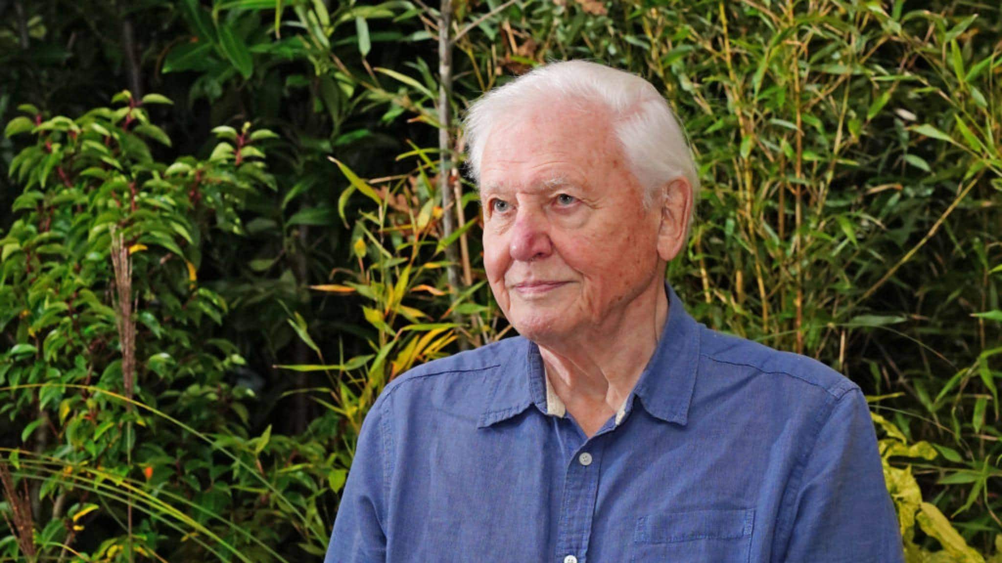 Il Pianeta Verde - S1E3 - Il ciclo delle stagioni