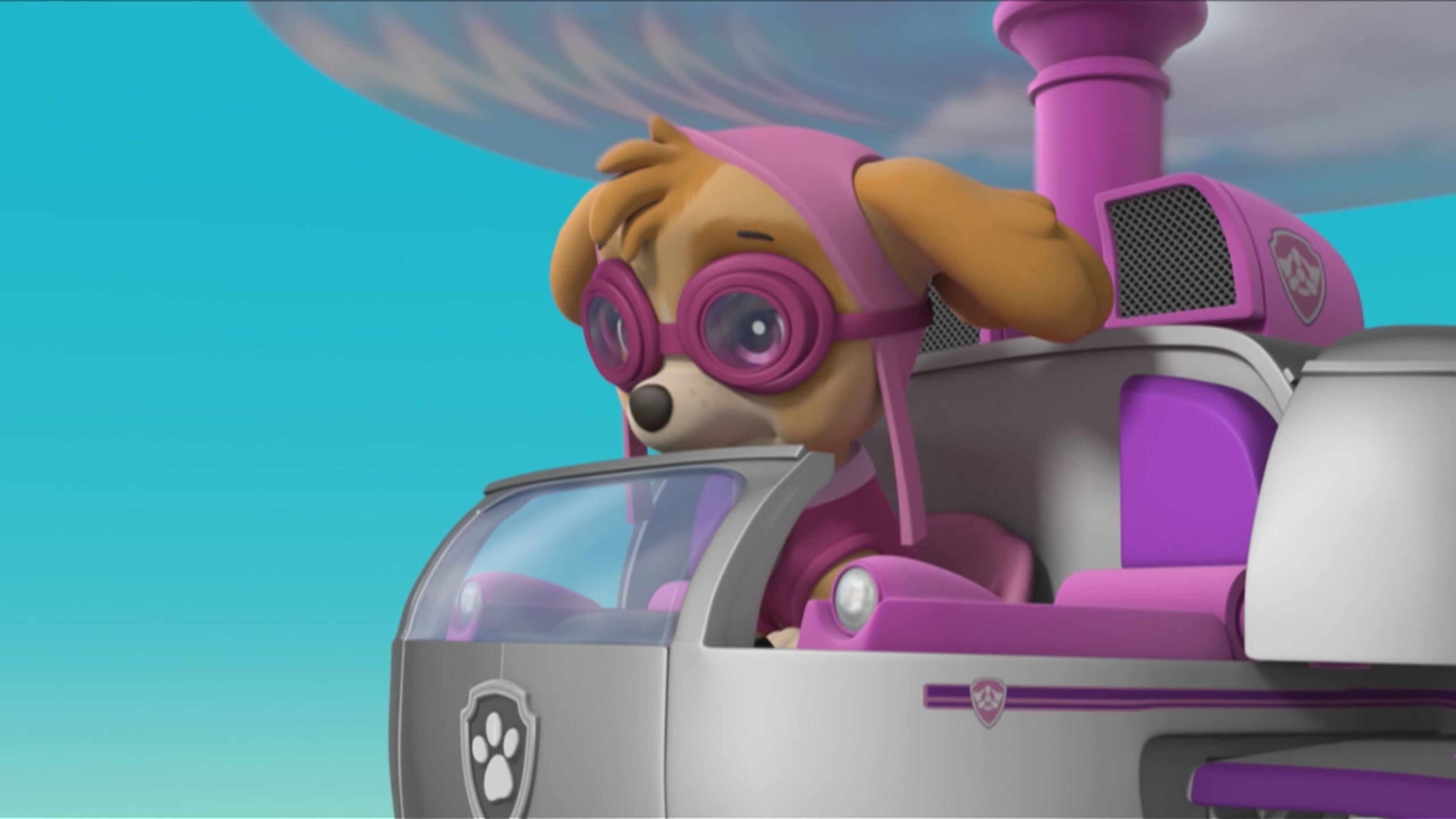 Paw Patrol - S6 Ep.11 - I cuccioli salvano i pirati di terra/I cuccioli salvano la gara dei Turbot