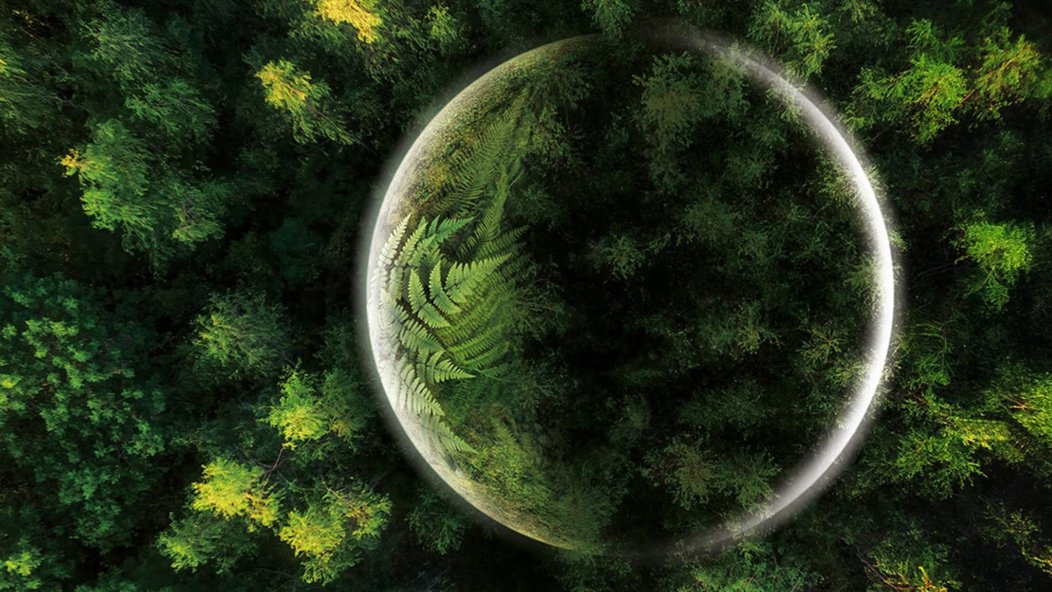 Il Pianeta Verde Ep. 1 - Foreste tropica