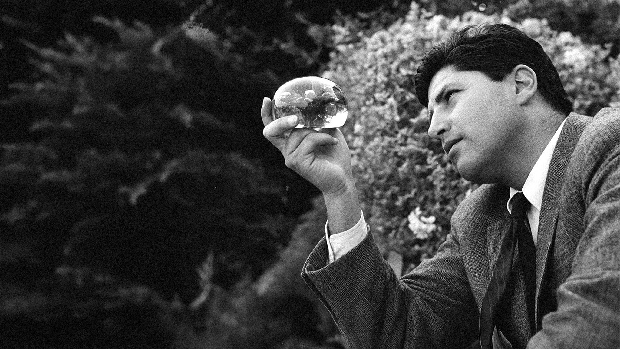 Le mille luci di Antonello Falqui