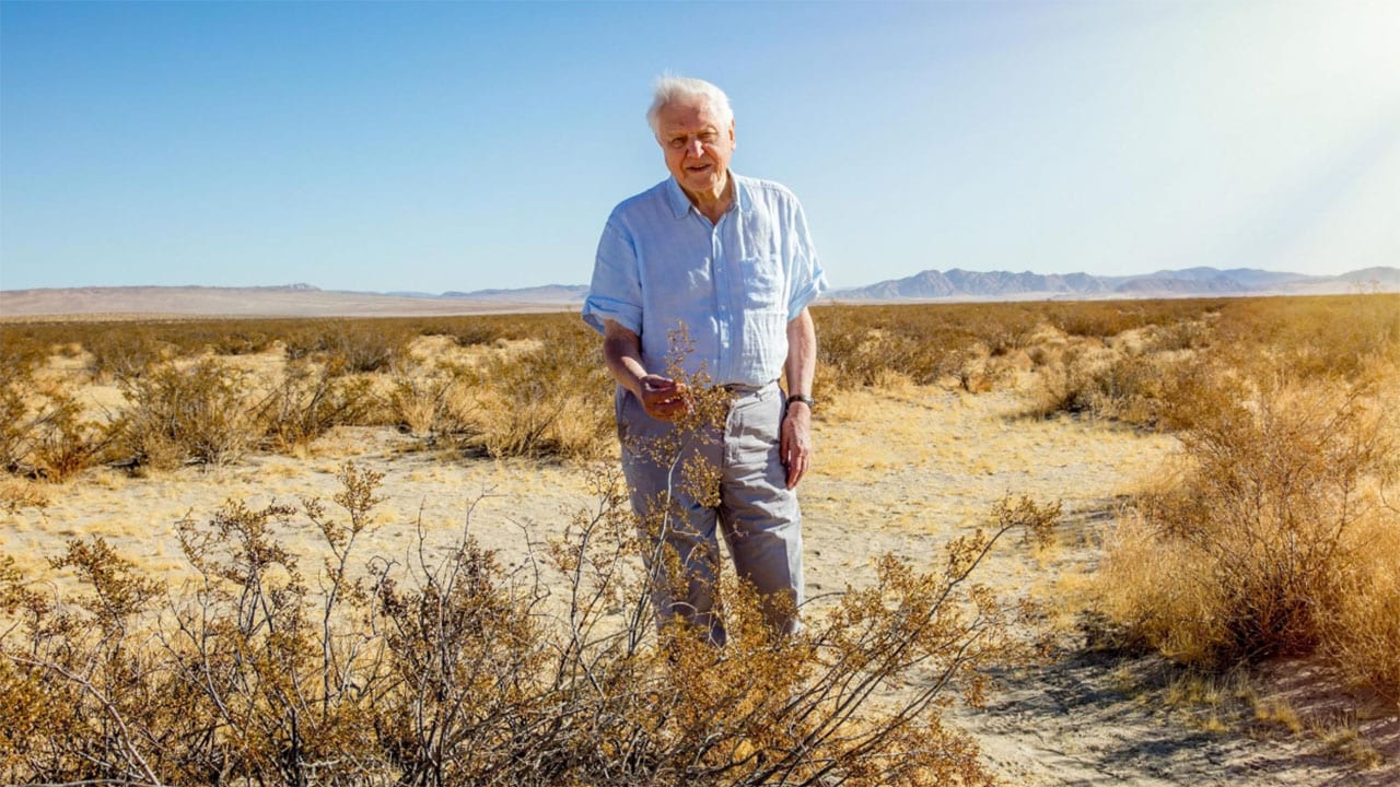 Il Pianeta Verde - S1E4 - Mondi deserti