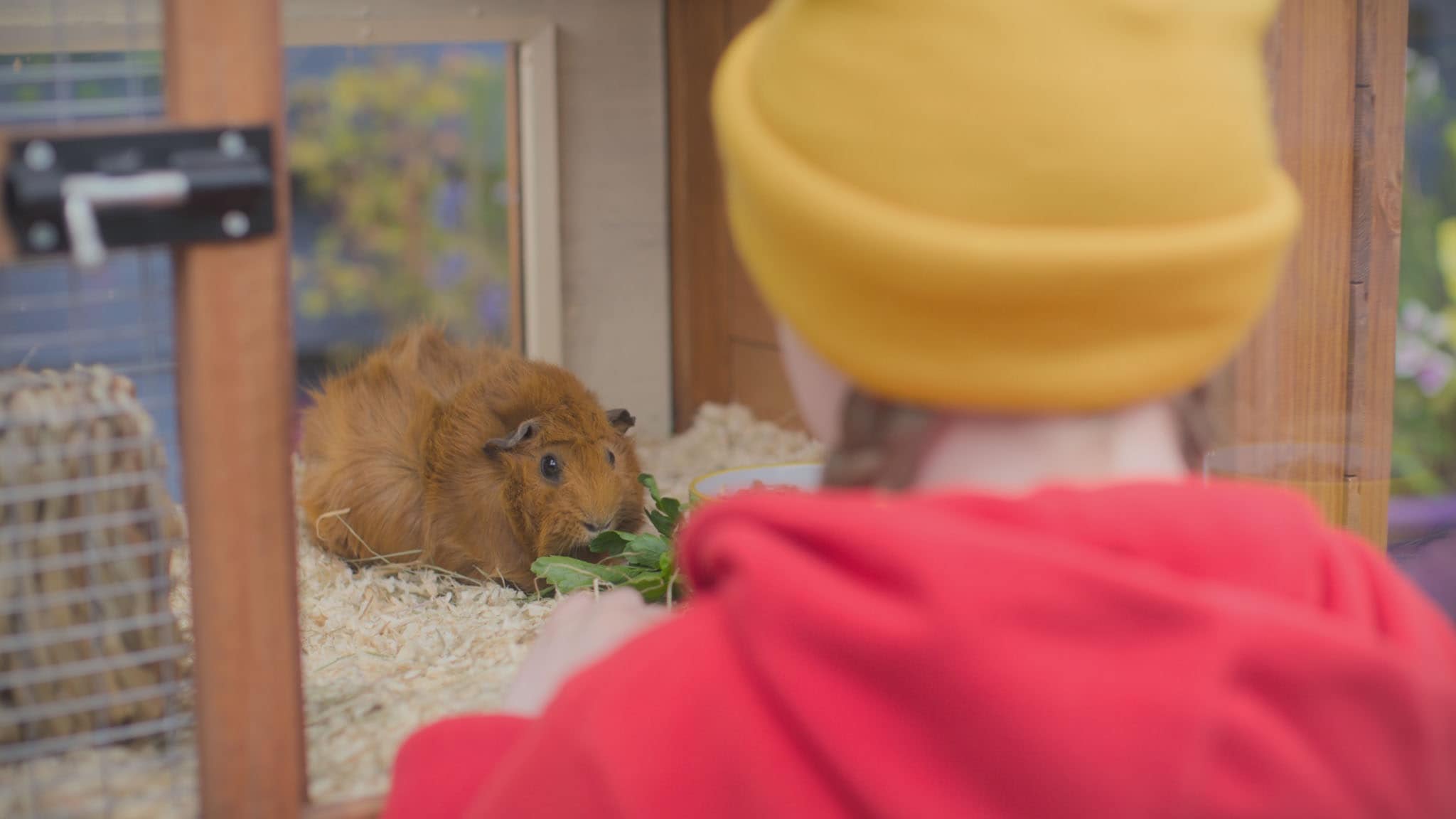 Olga da Polga - S1E27 - Il grande freddo