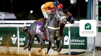 Japan's Cup Race Night