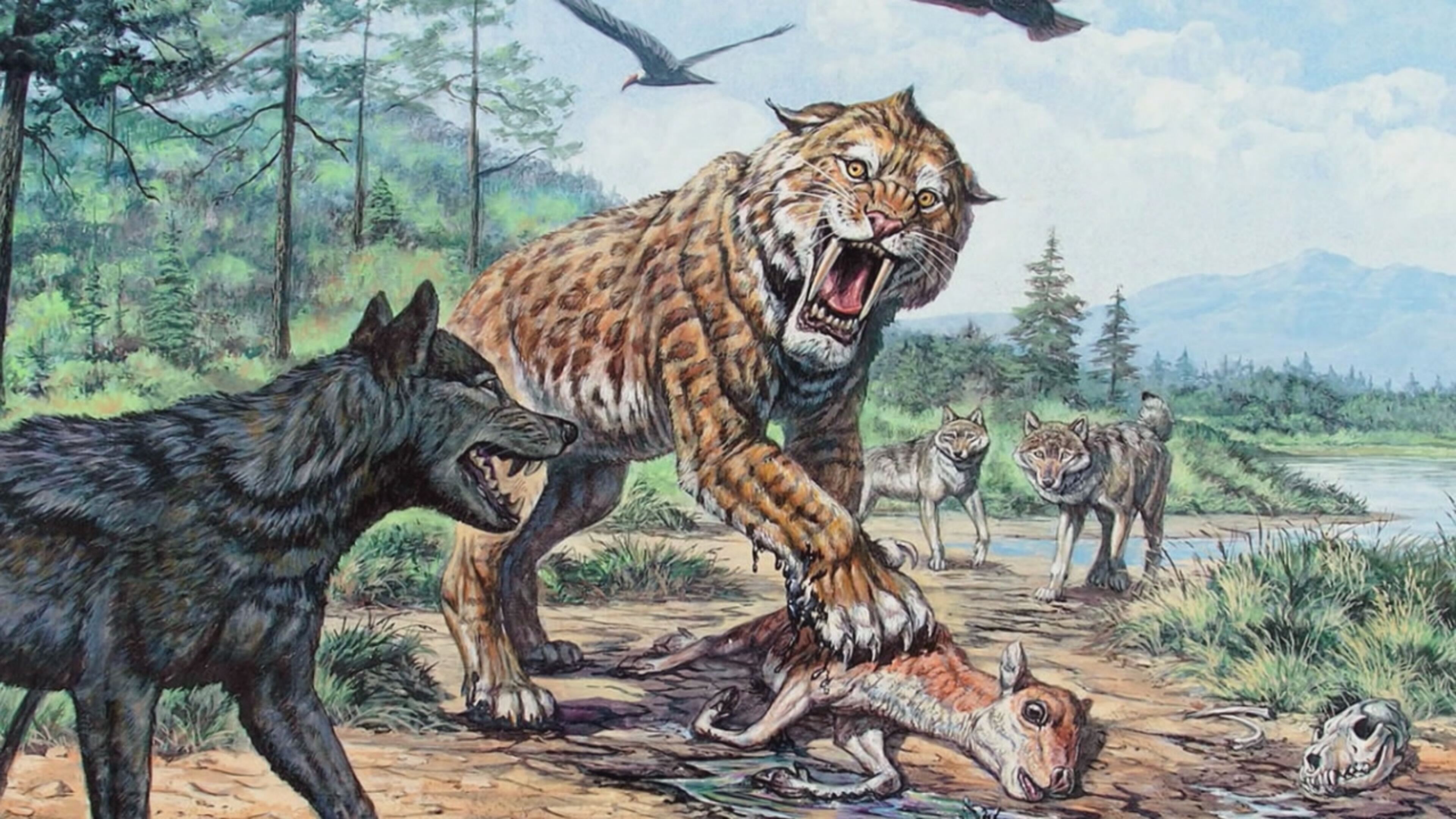 Storie segrete - S1 Ep15 Tombe senza tempo e sopravvissuti moderni - i parte