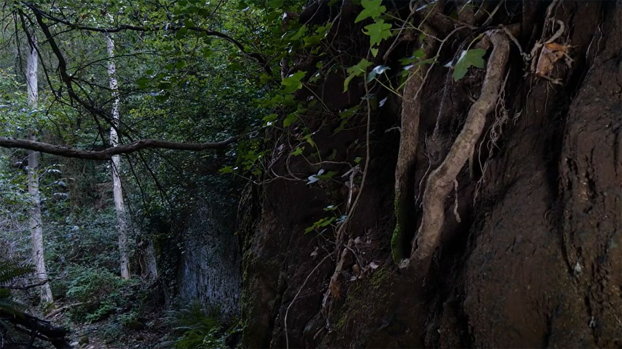 Wild Italy - S7E5 - L'antropocene, il Far West