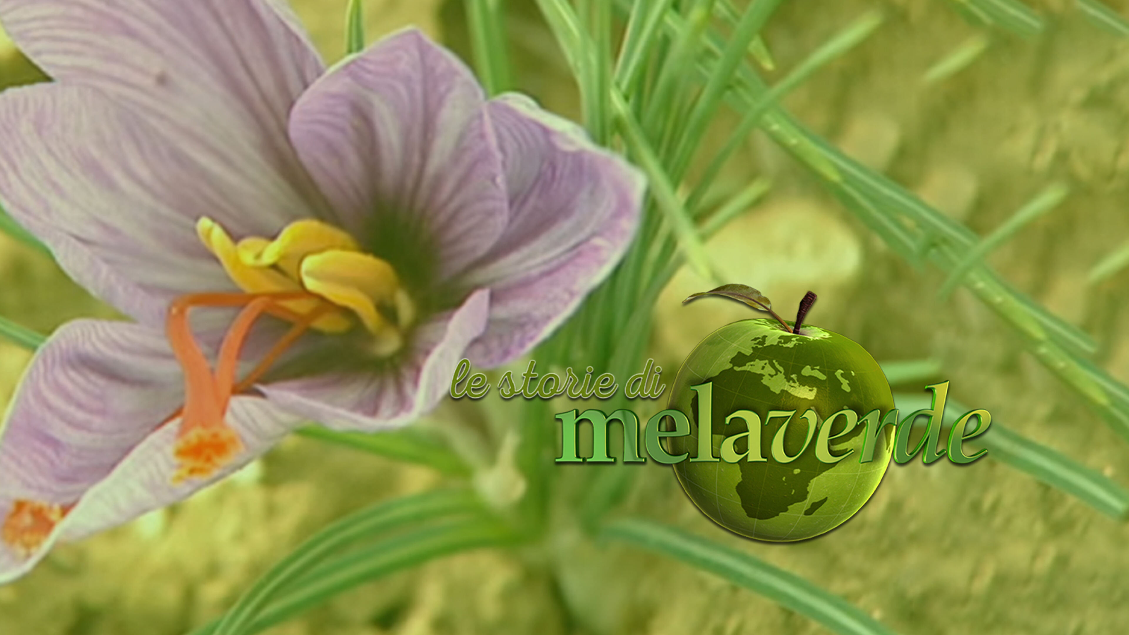 Le storie di Melaverde