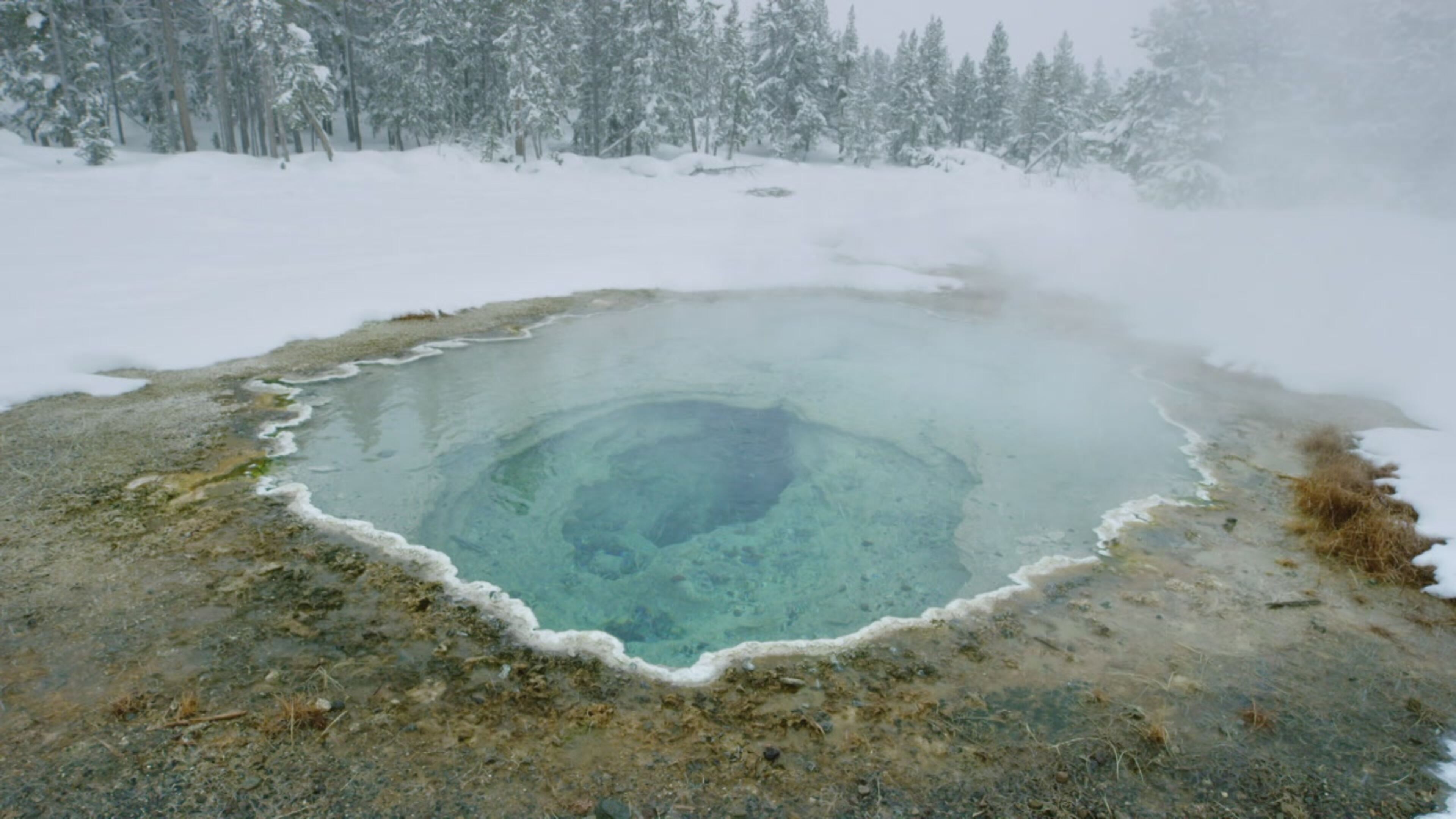 Le meraviglie del parco di Yellowstone - S1 Ep1 Dove fuoco e ghiaccio si incontrano