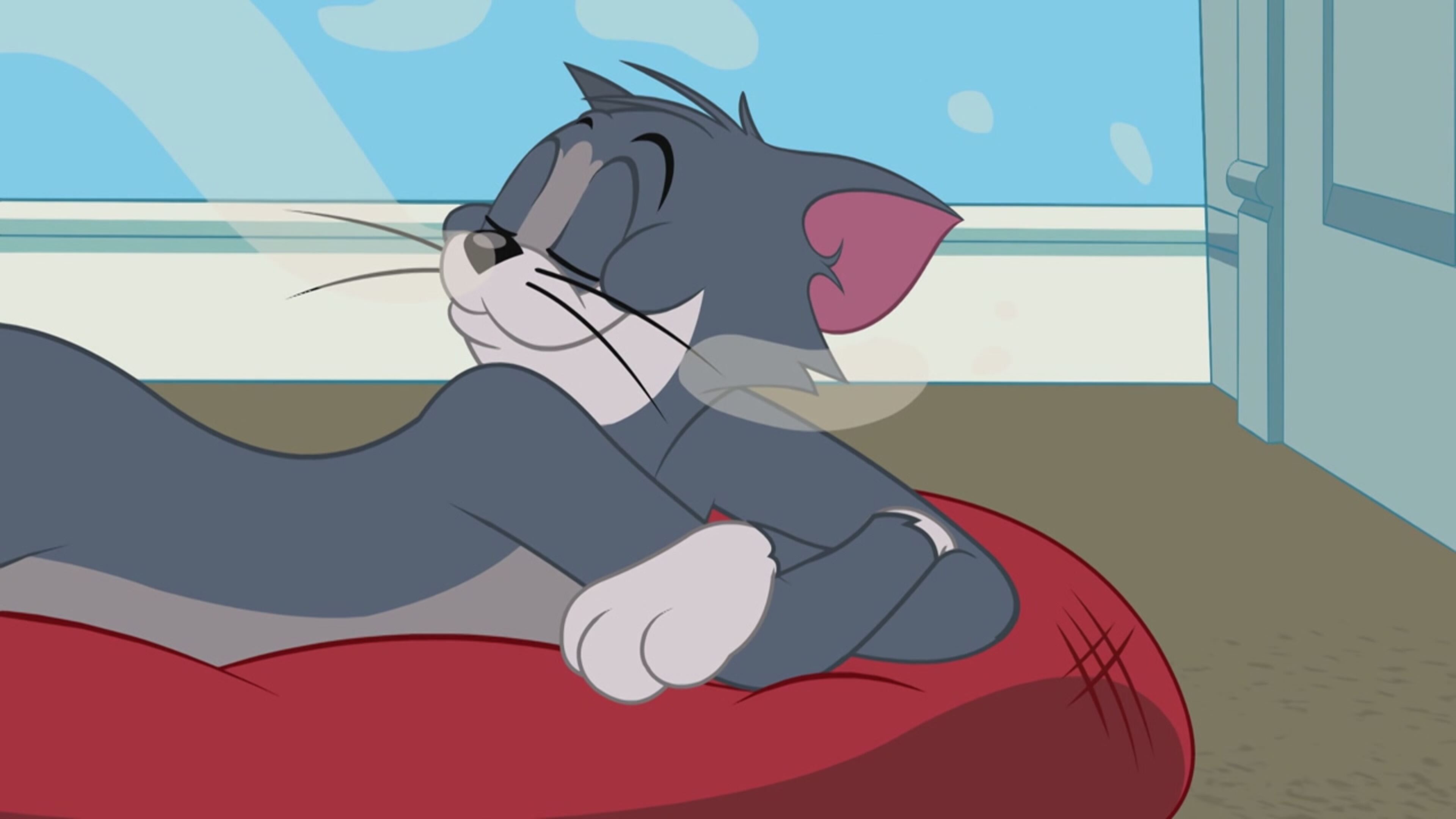 Tom  Jerry Show - S4 Ep.25 - Pallunatici