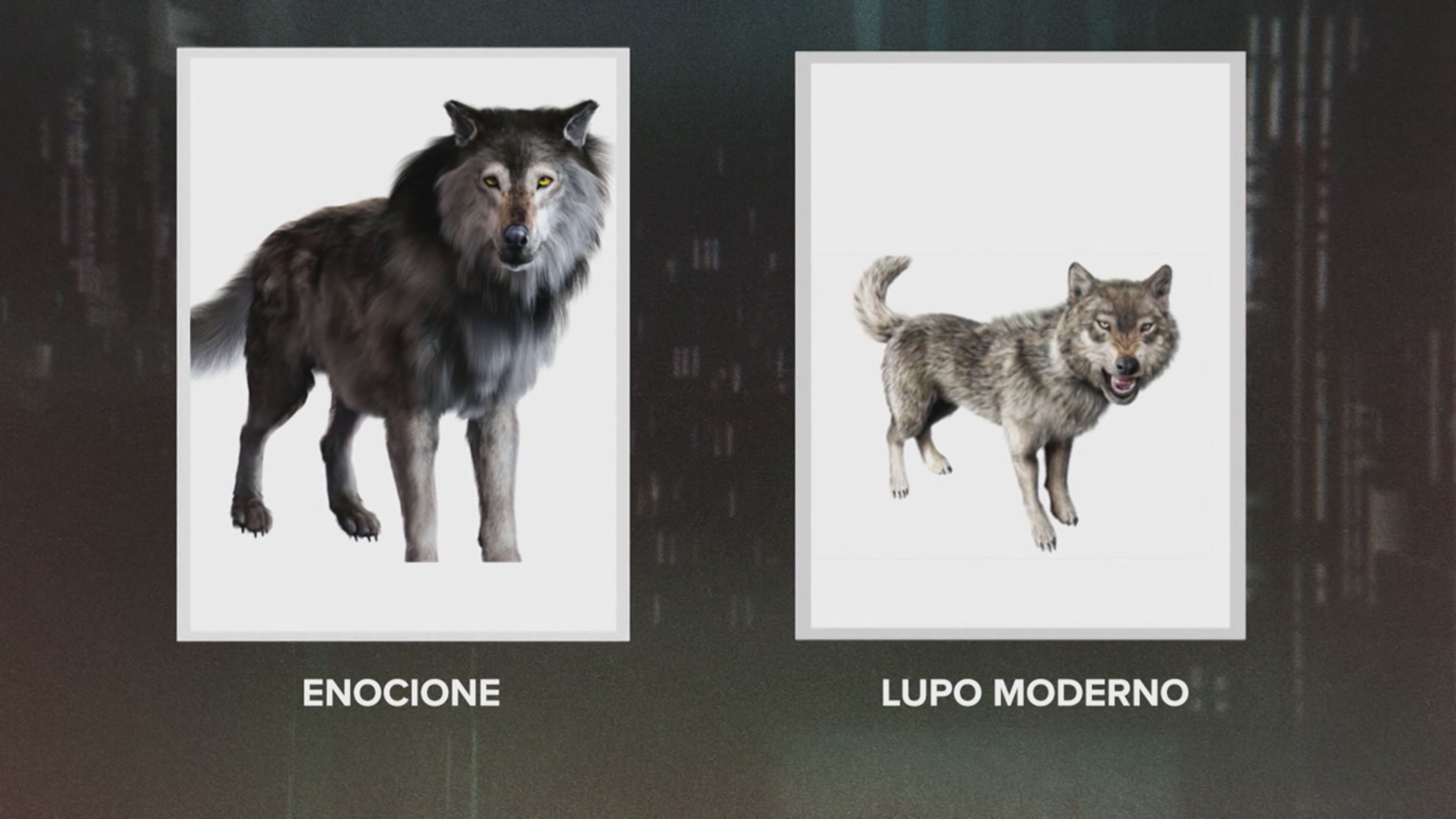 Fuori le prove! - Indagini ai confini della realtà 3 - S3 Ep3