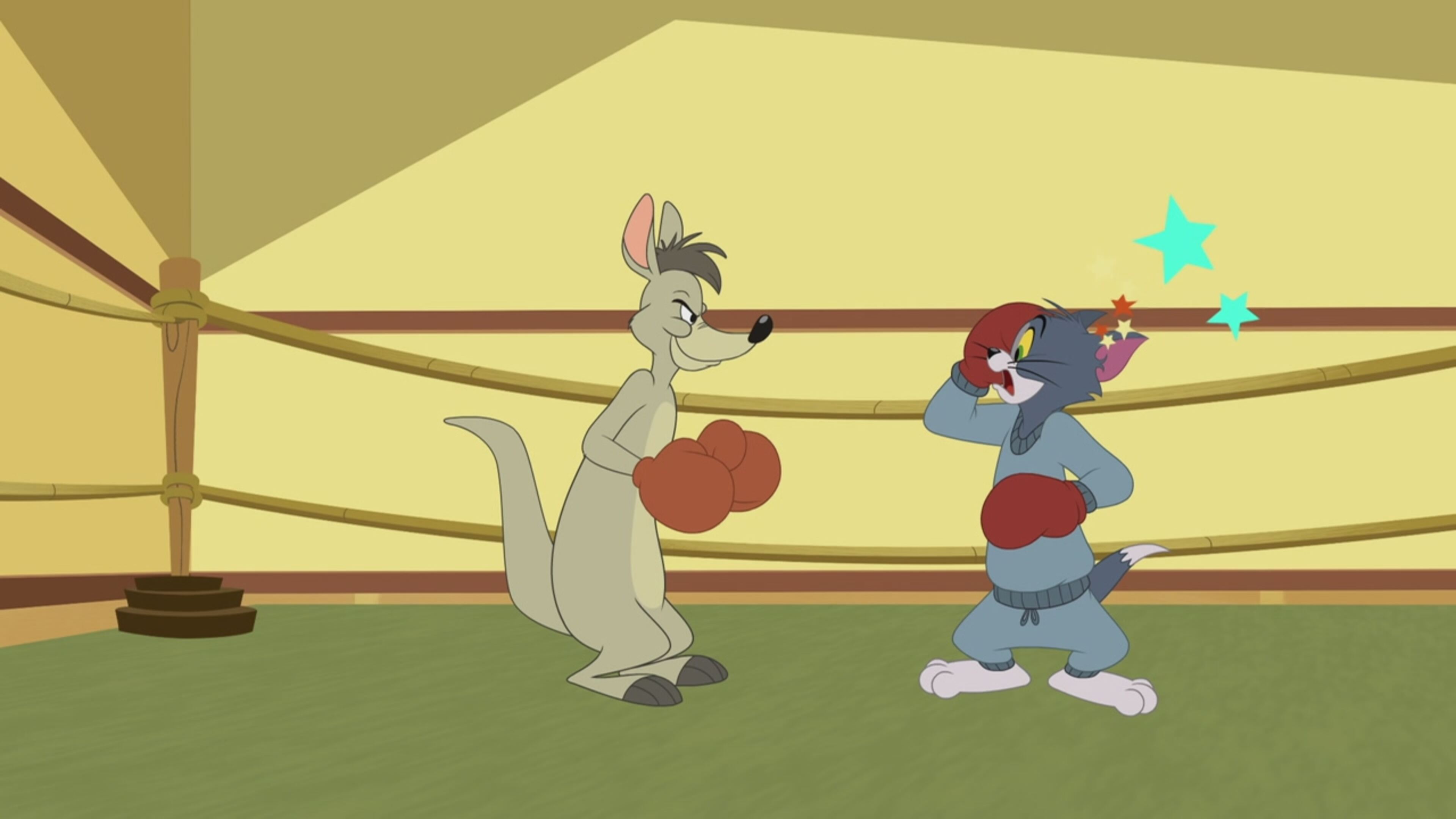 The Tom and Jerry Show - S5 Ep.8 - L'incontro di boxe