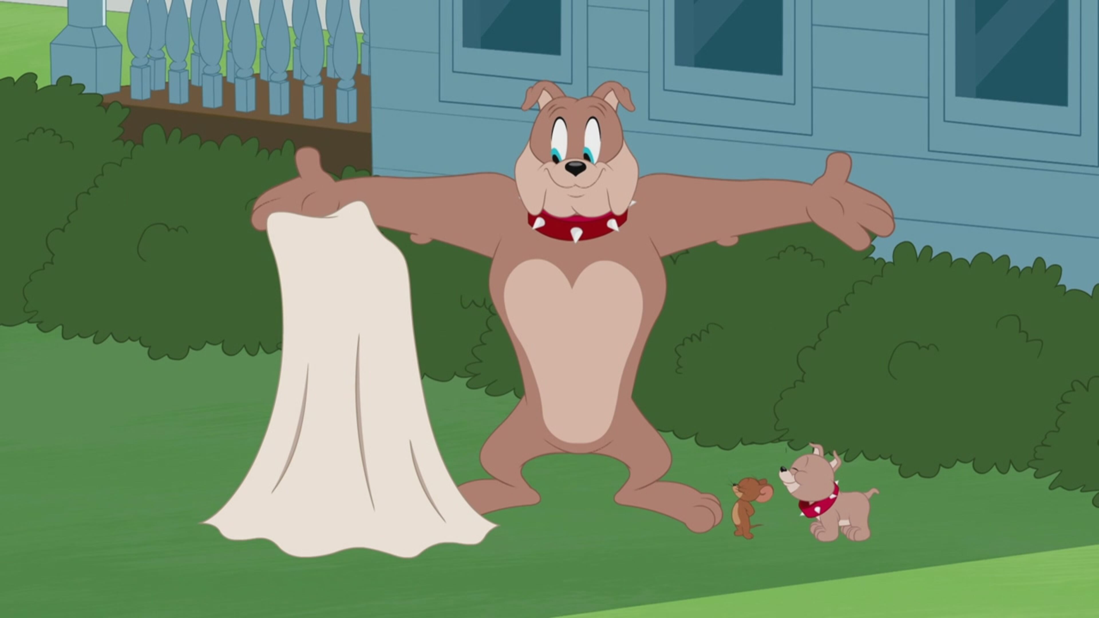 The Tom and Jerry Show - S5 Ep.37 - Tom invisibile