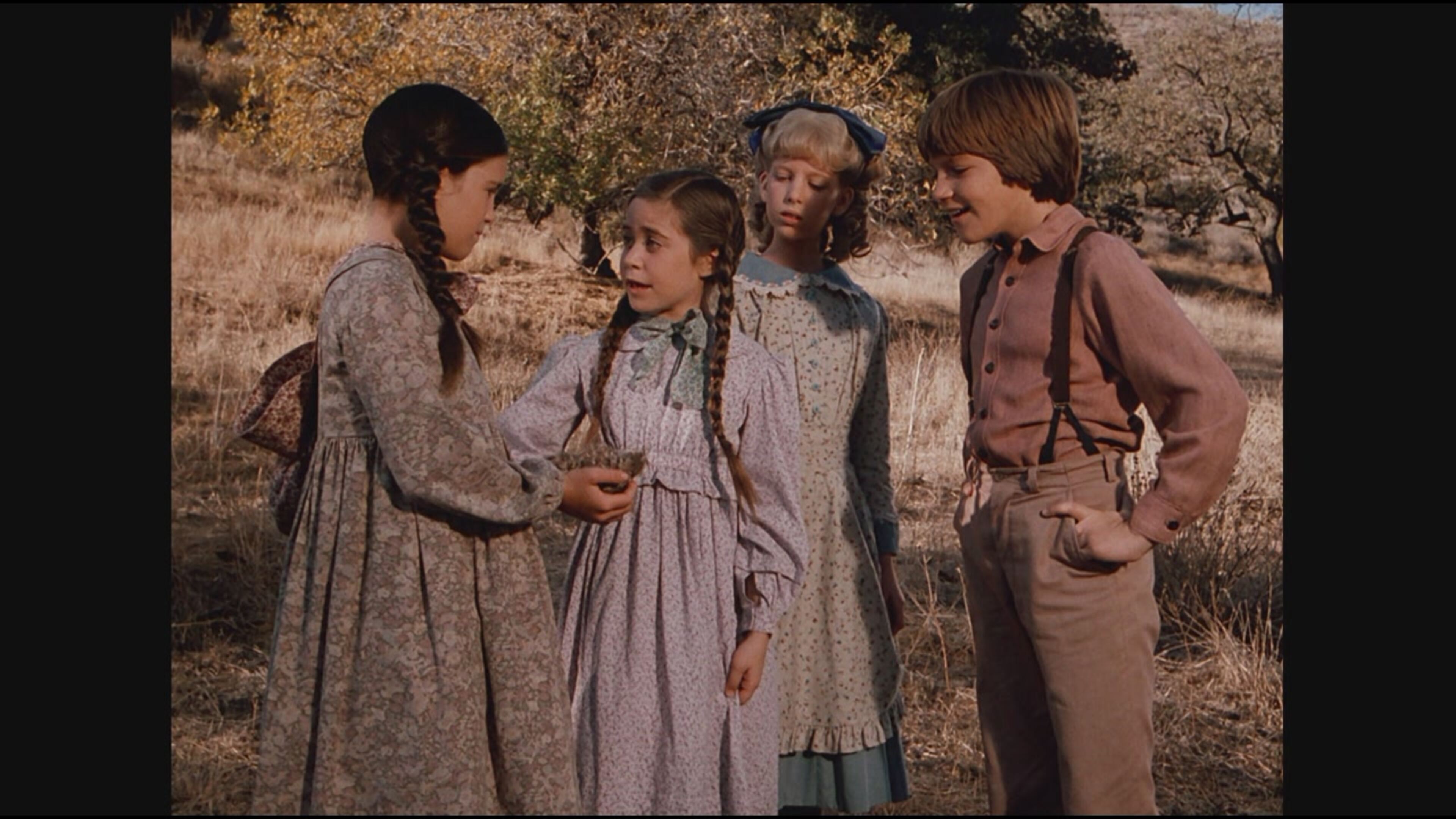 La casa nella prateria 8 - S8 Ep9 Per amore di Nancy