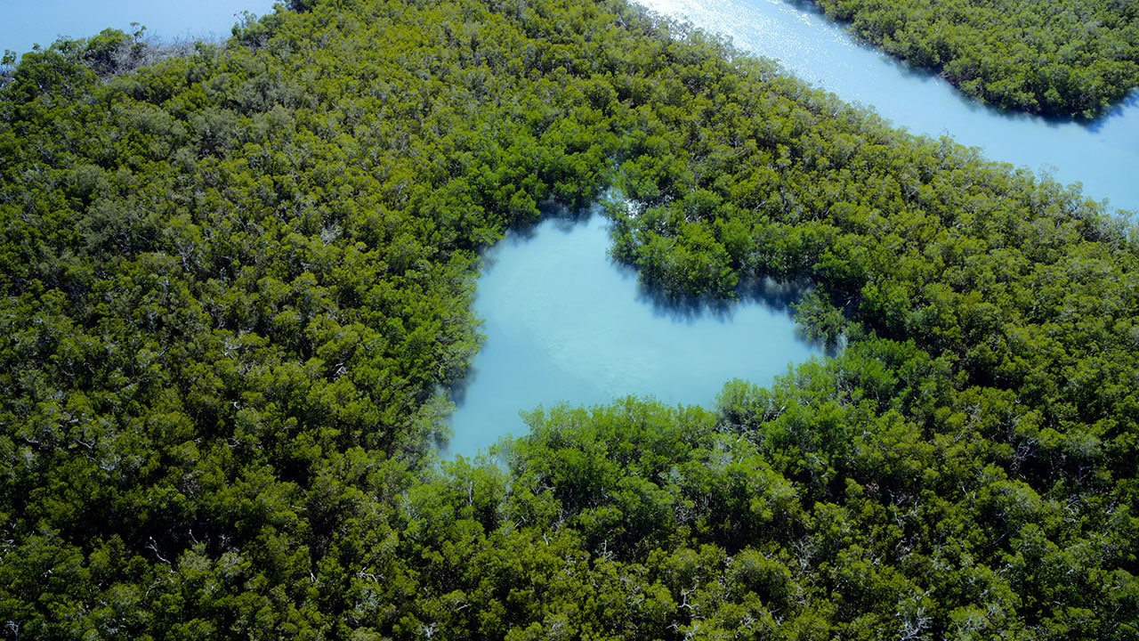 The Americas - S1E11 - Dietro le quinte di The Americas