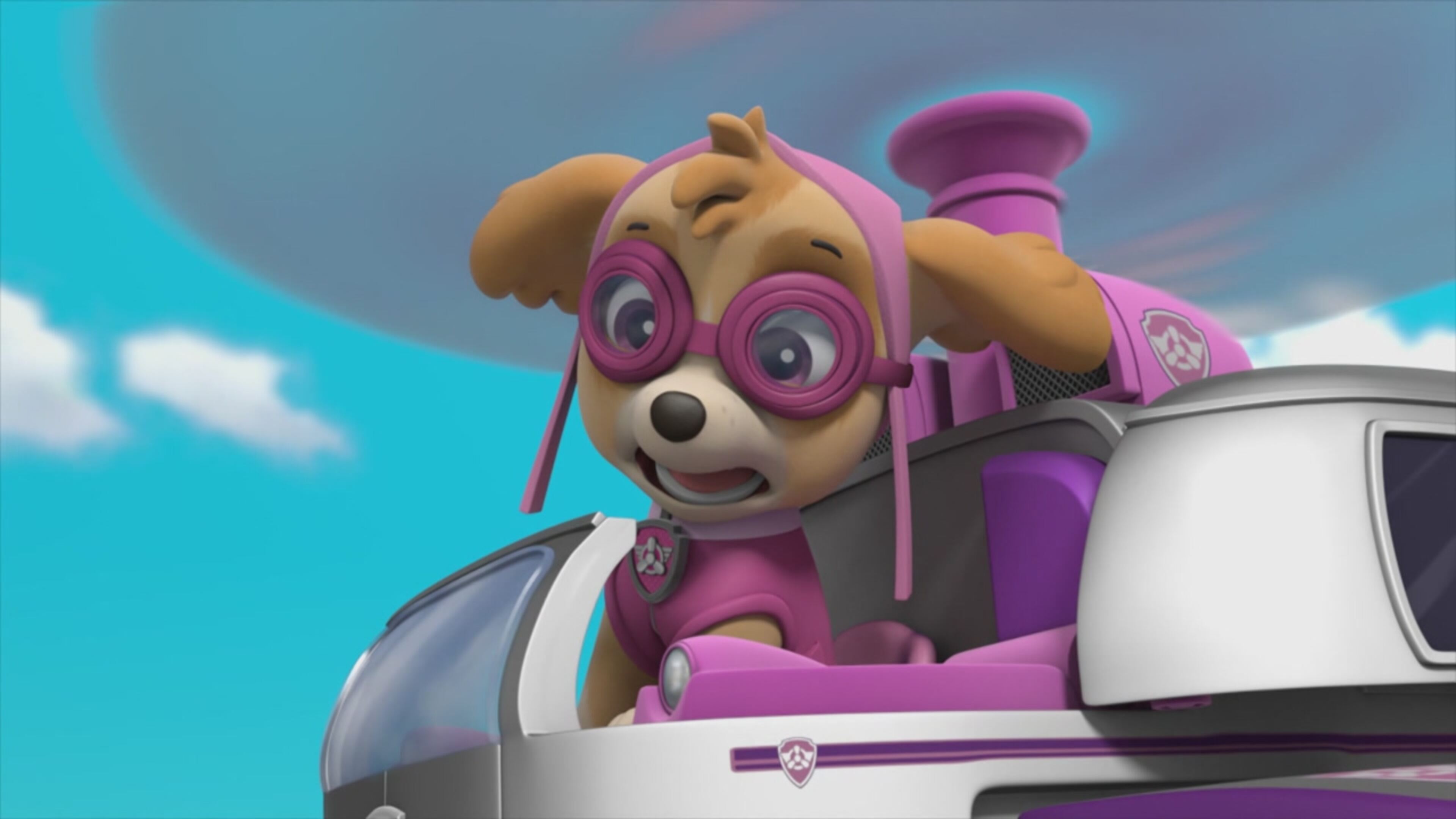 Paw Patrol - Paw Patrol