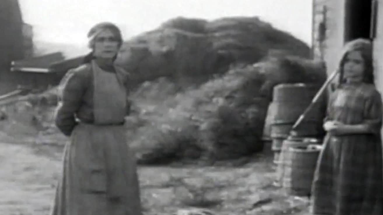 L'accaparramento del grano