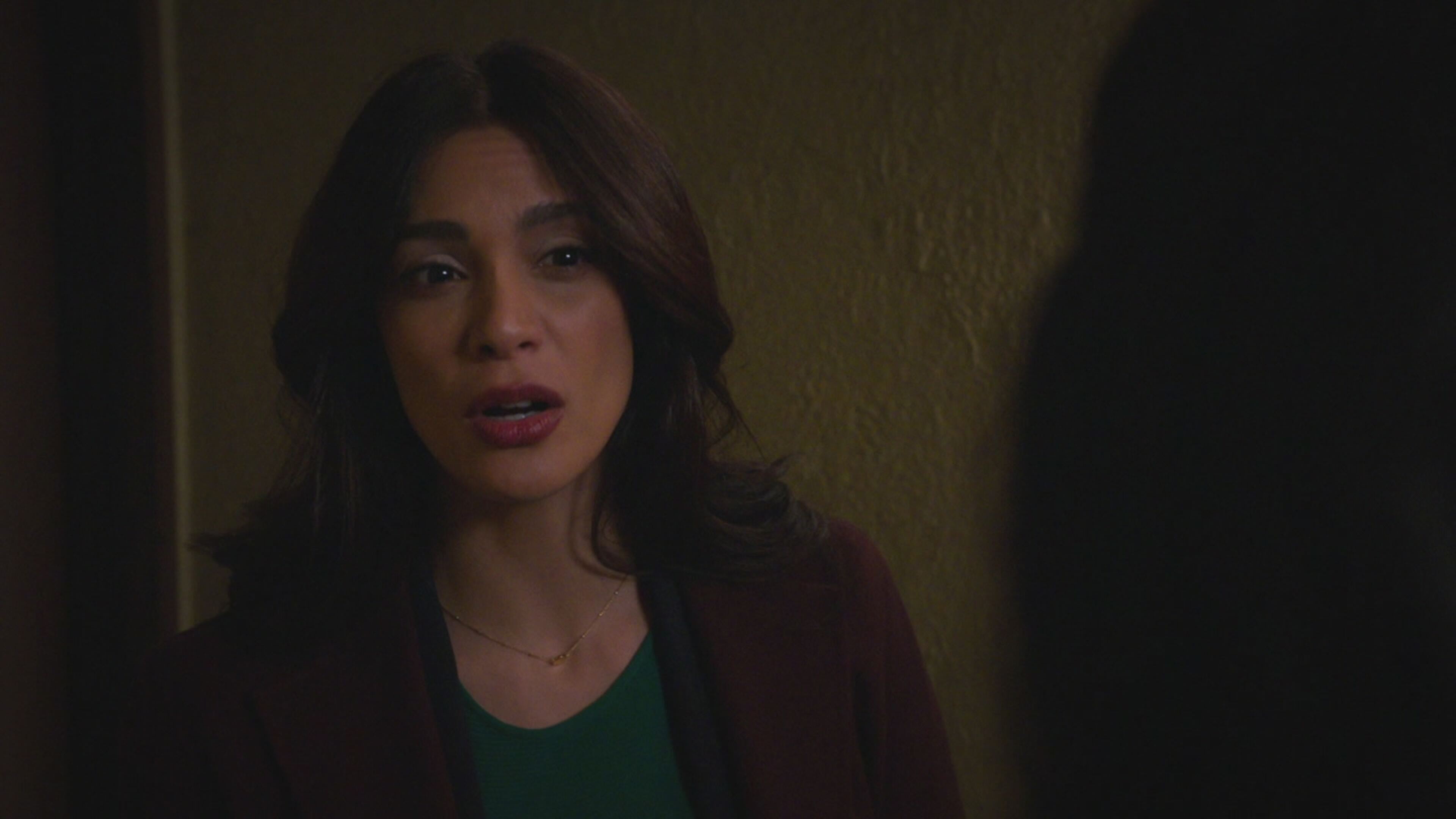 Law  Order: i due volti della giustizia 22 - S22 Ep10 Terra d'opportunita'