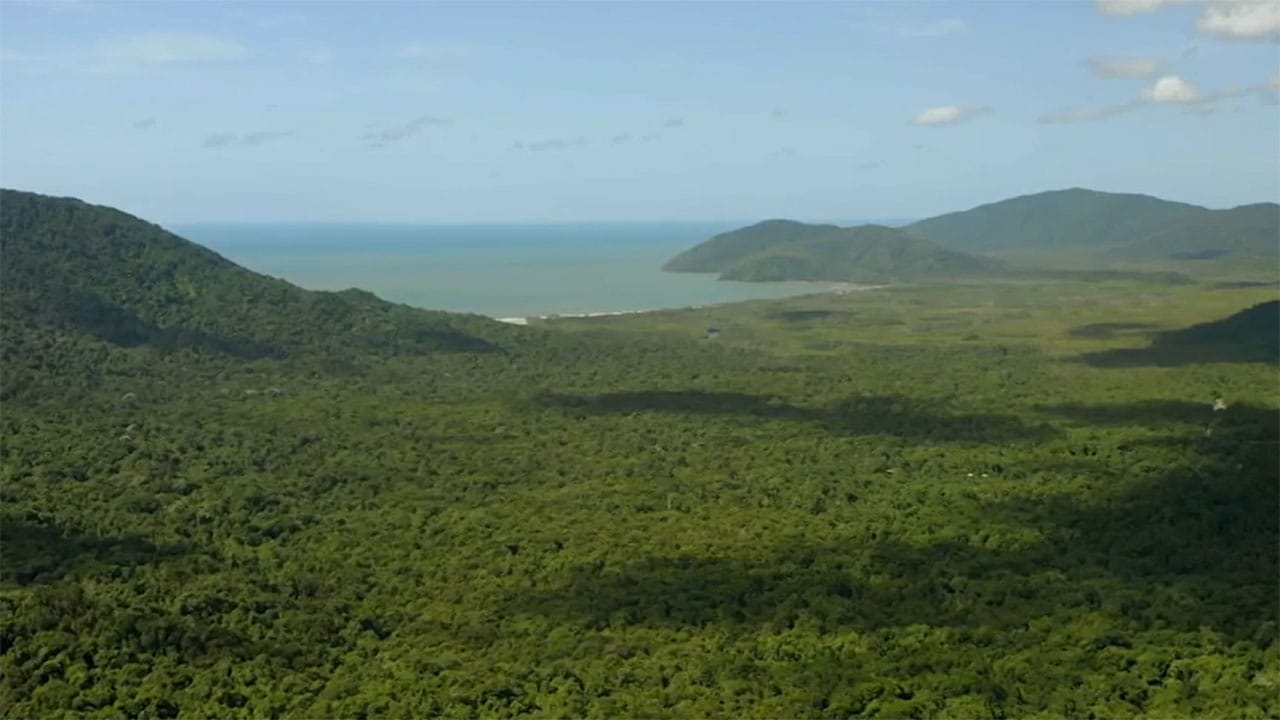 Paradisi da salvare - S1E9 Daintree, l'Australia delle origini