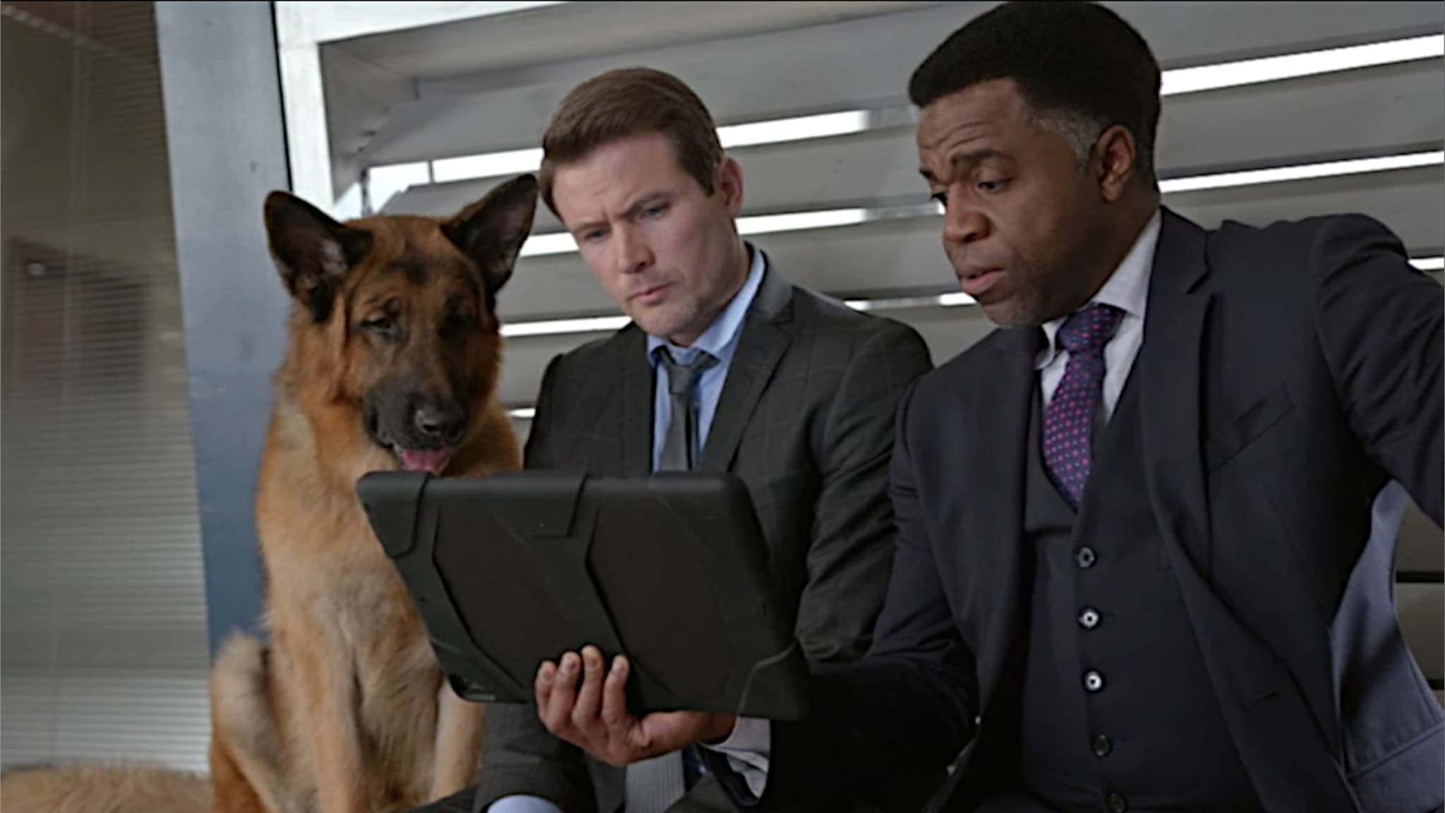 Hudson  Rex - S2E16 - Questione di sangue