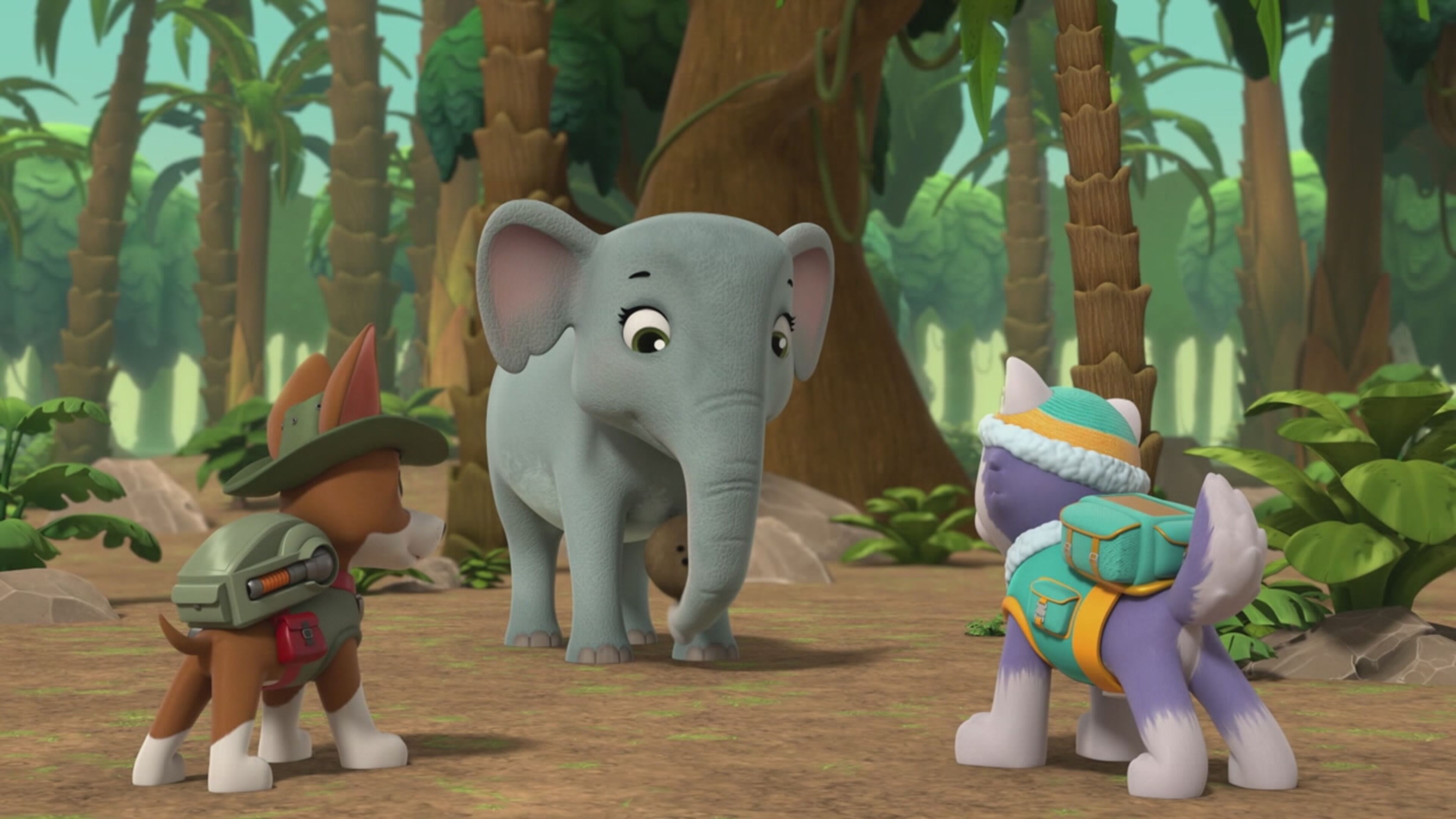 Paw Patrol - S9 Ep.15 - I cuccioli salvano un piccolo T-Rex / I cuccioli salvano un simpatico elefantino