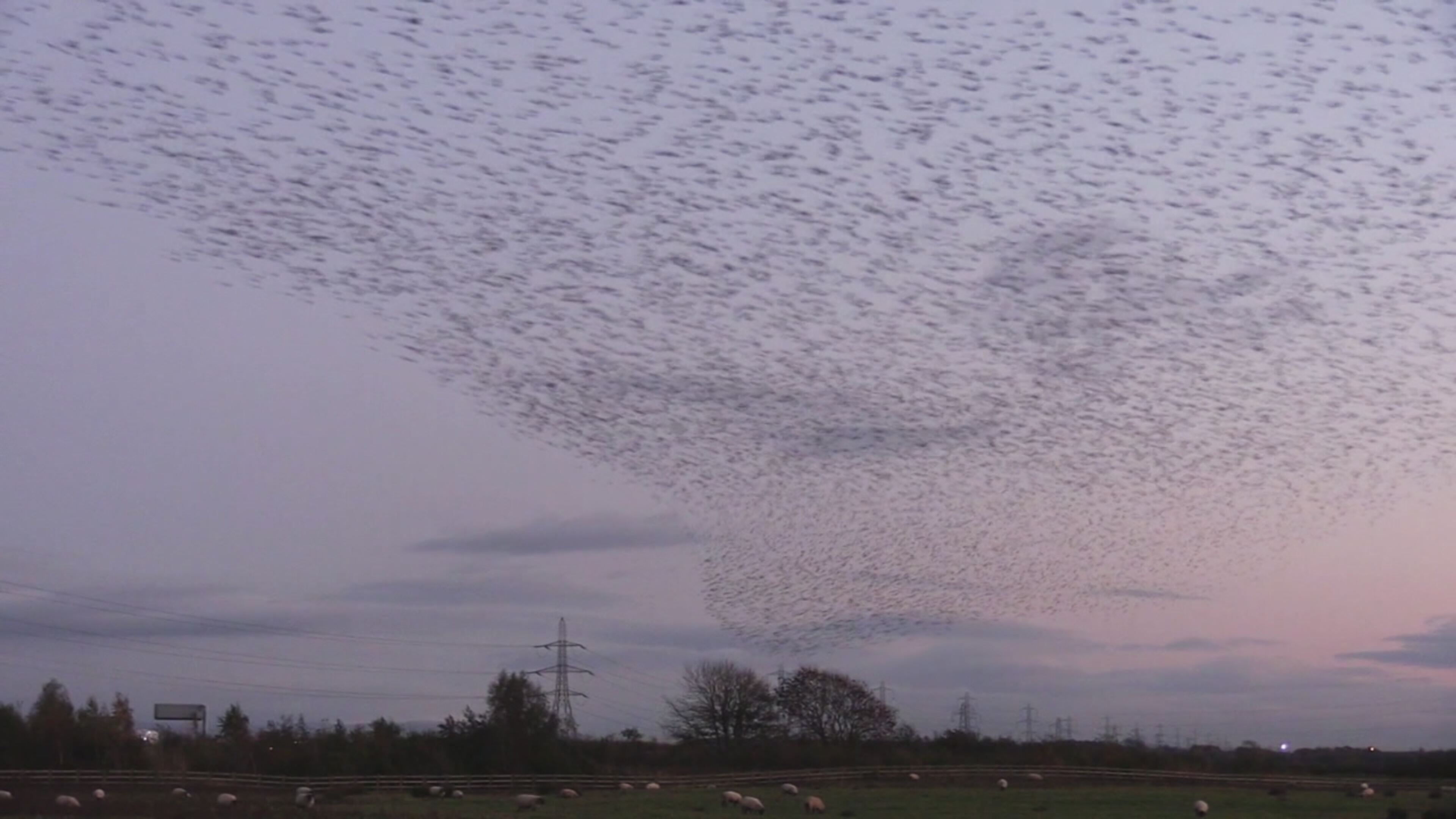 Fuori le prove! - Indagini ai confini della realtà 3 - S1 Ep17