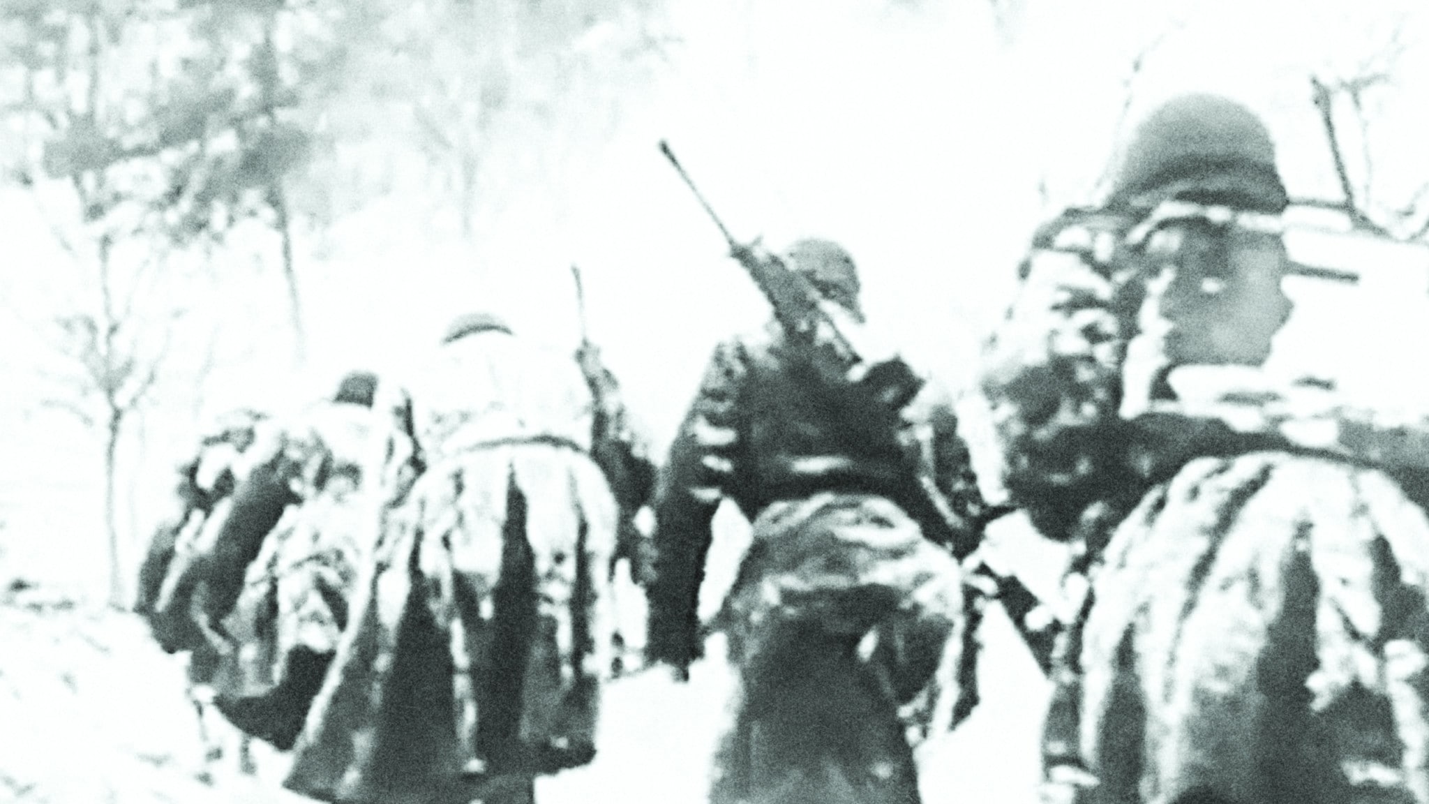 Mille papaveri rossi - La lunga strada del ritorno p.1