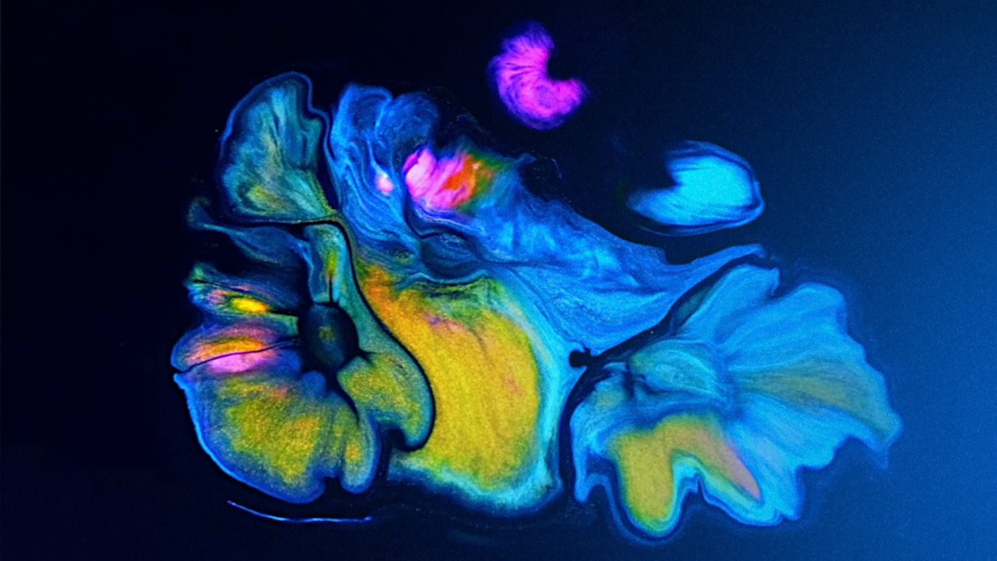 Poke stories Umbria Jazz Winter Umbria J