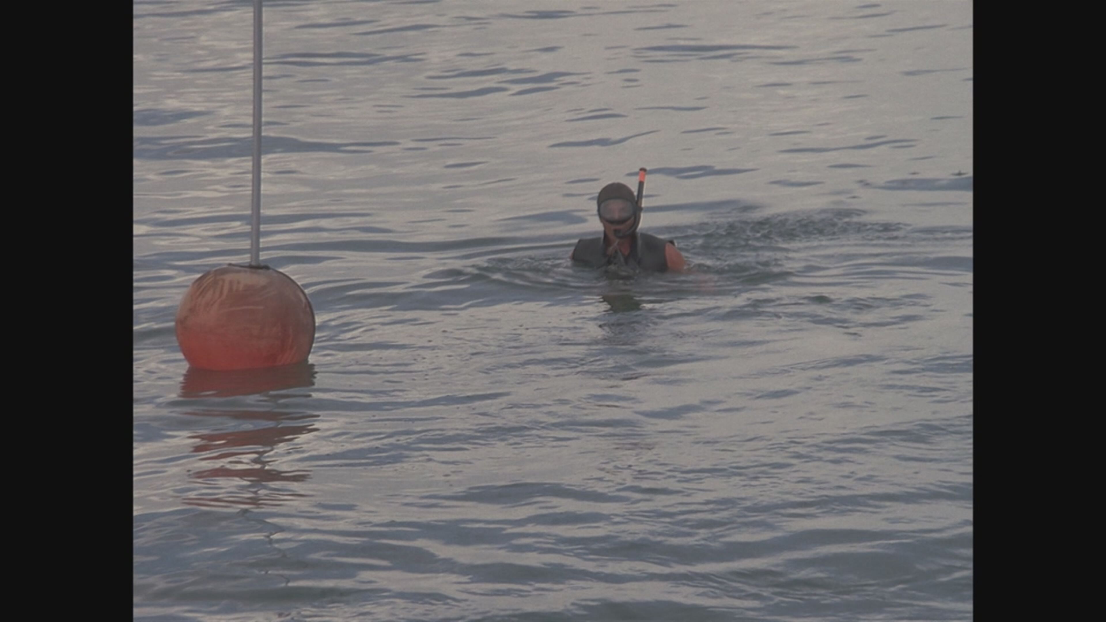 Miami Vice 2 - S2 Ep5 Amore avvelenato