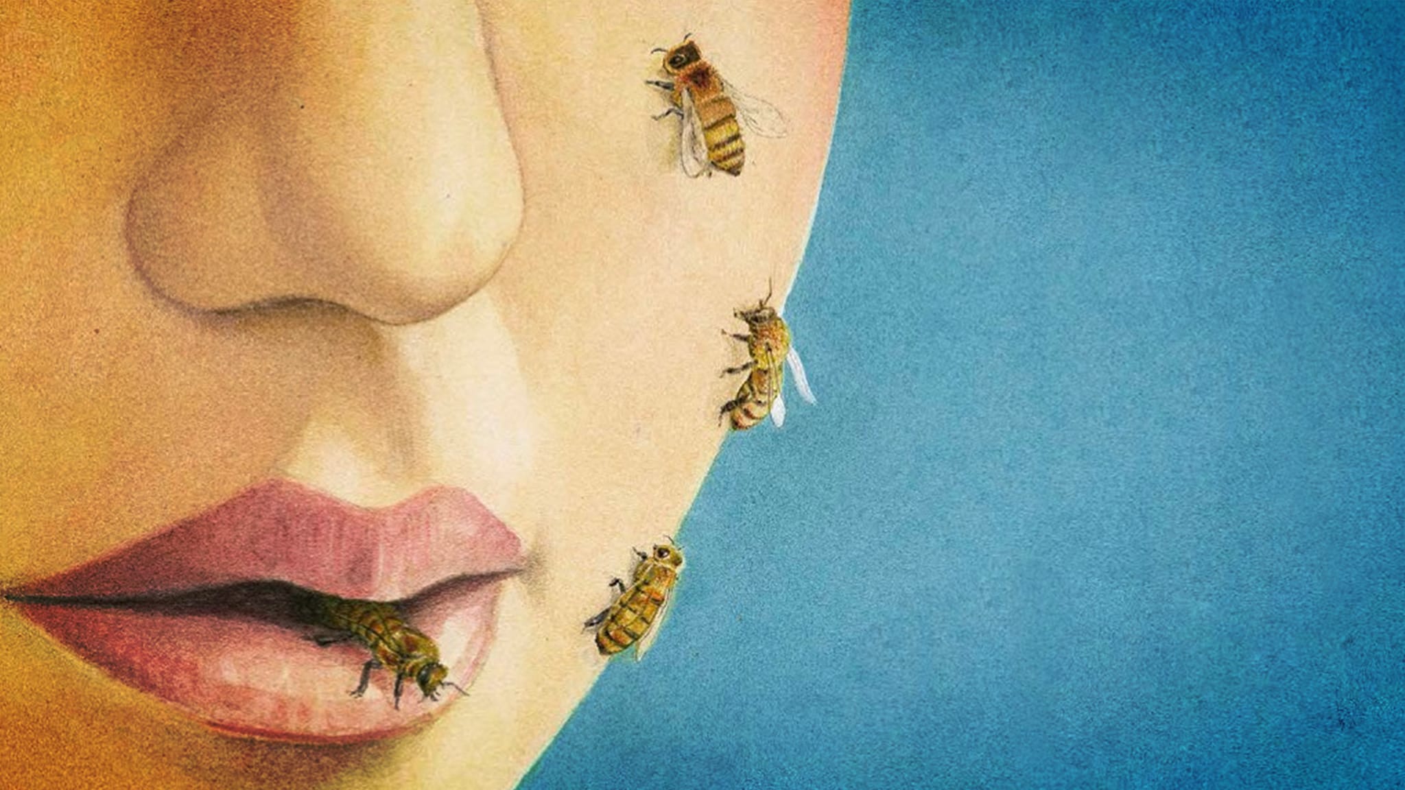 Le Meraviglie della Francia Ep.03 L'inca