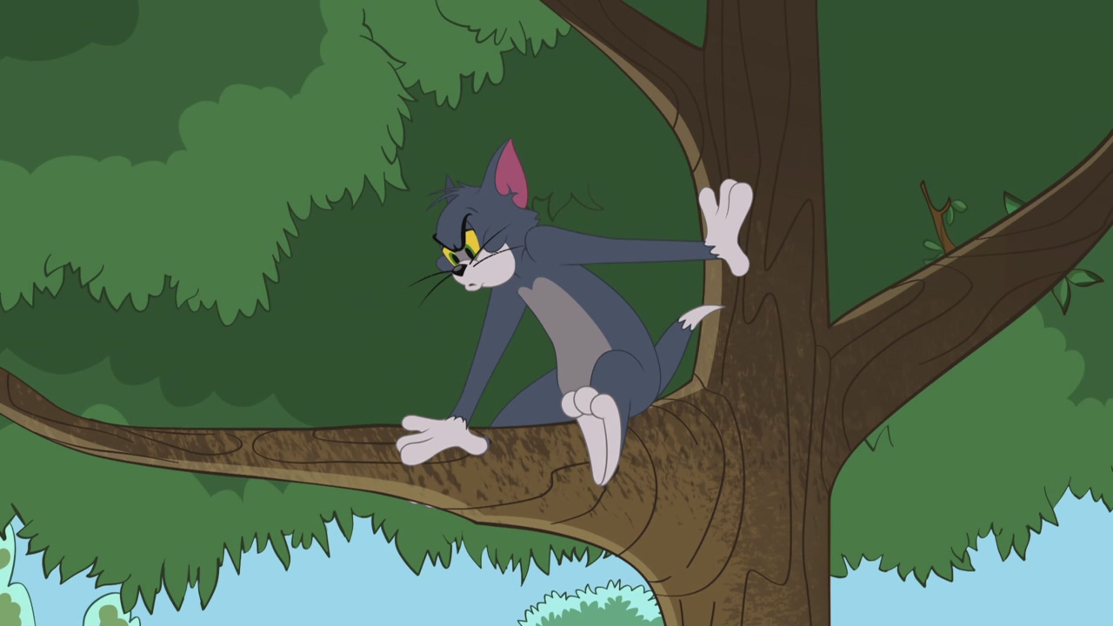 The Tom  Jerry Show - S1 Ep27