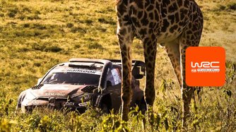 Safari Rally Kenya: Stage 19