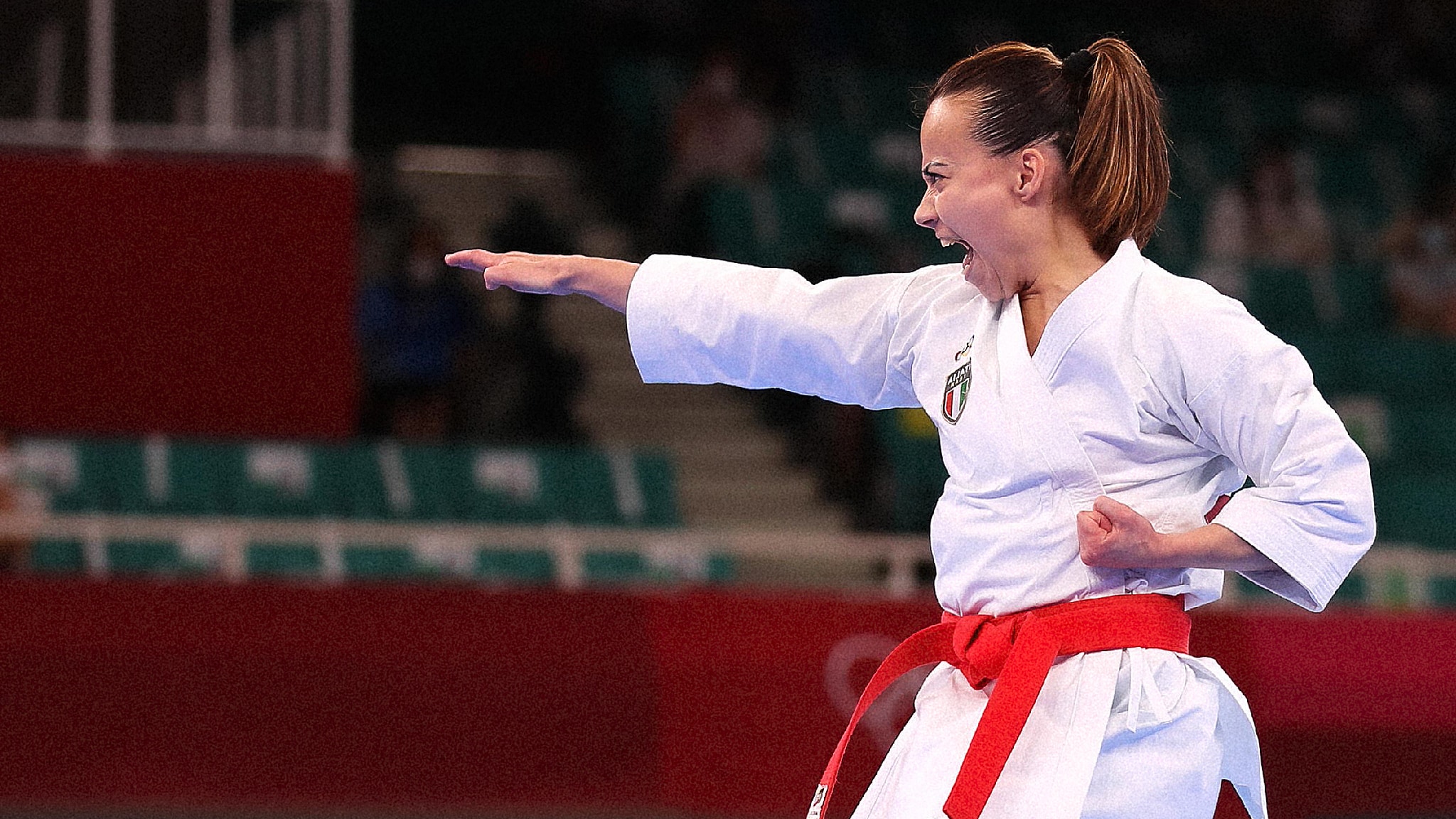 Karate. Premier League Roma