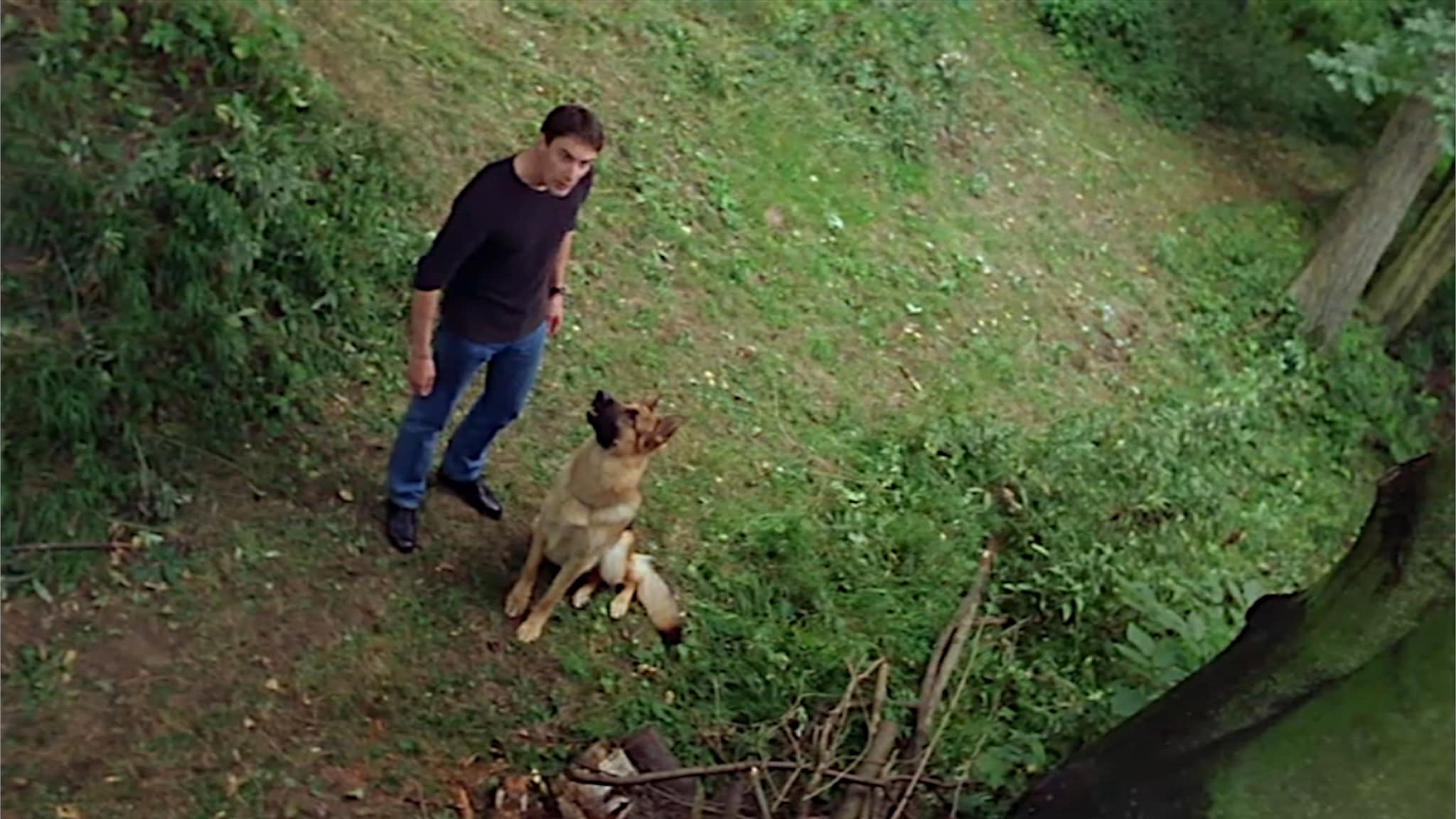 Il commissario Rex - S5E6 - Omicidio nel parco