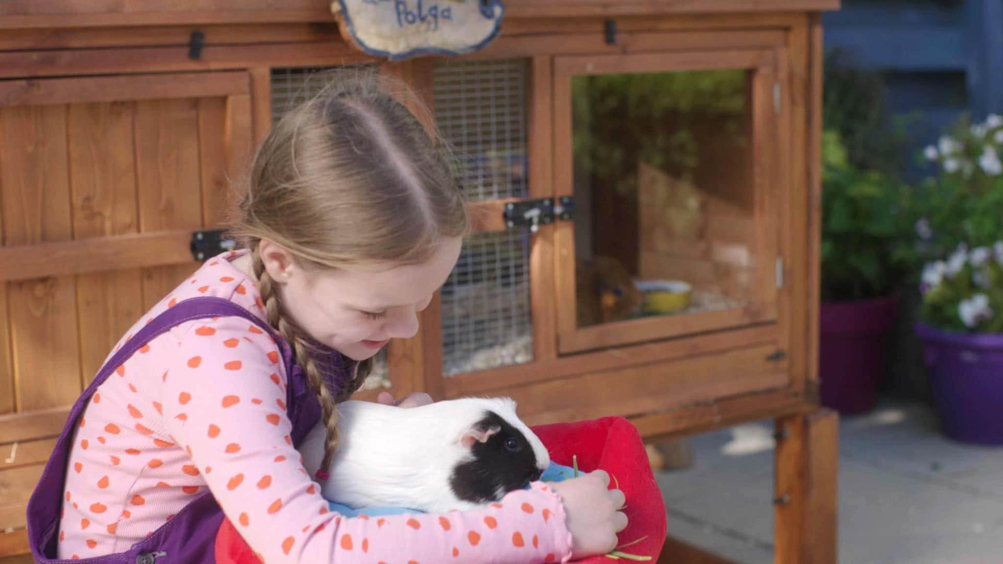 Olga da Polga - S1E26 - Olga e il leone