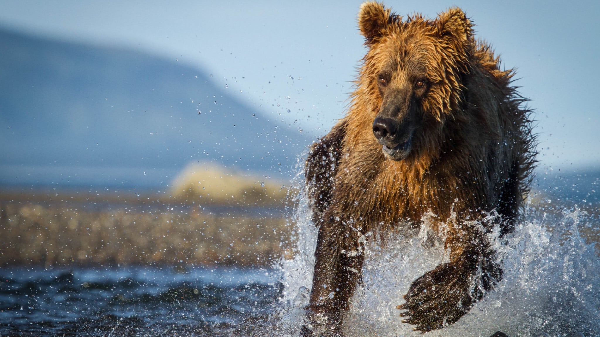 La caccia Ep. 2 - Prigionieri delle stag