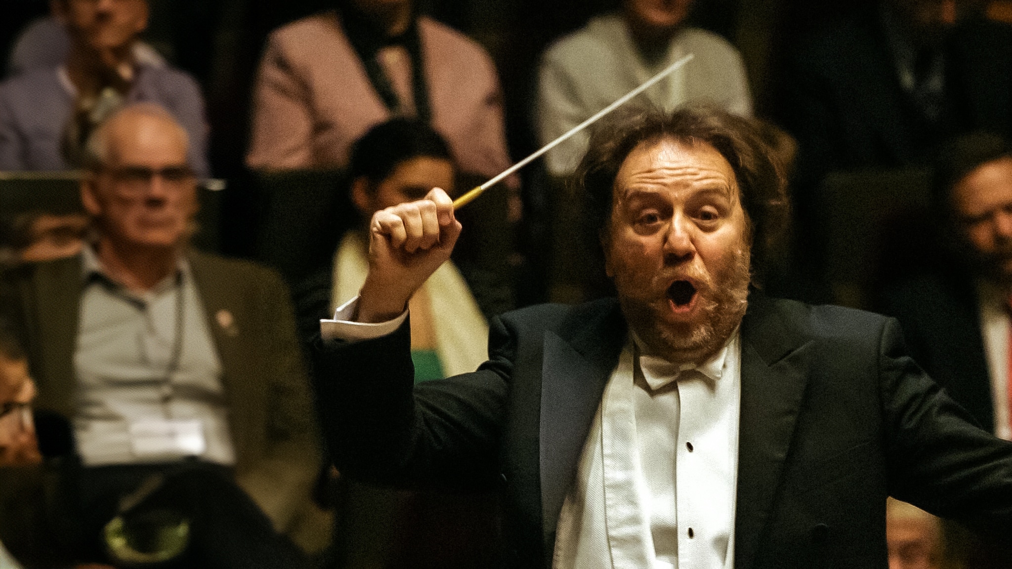 La rondine (Chailly, Brook)