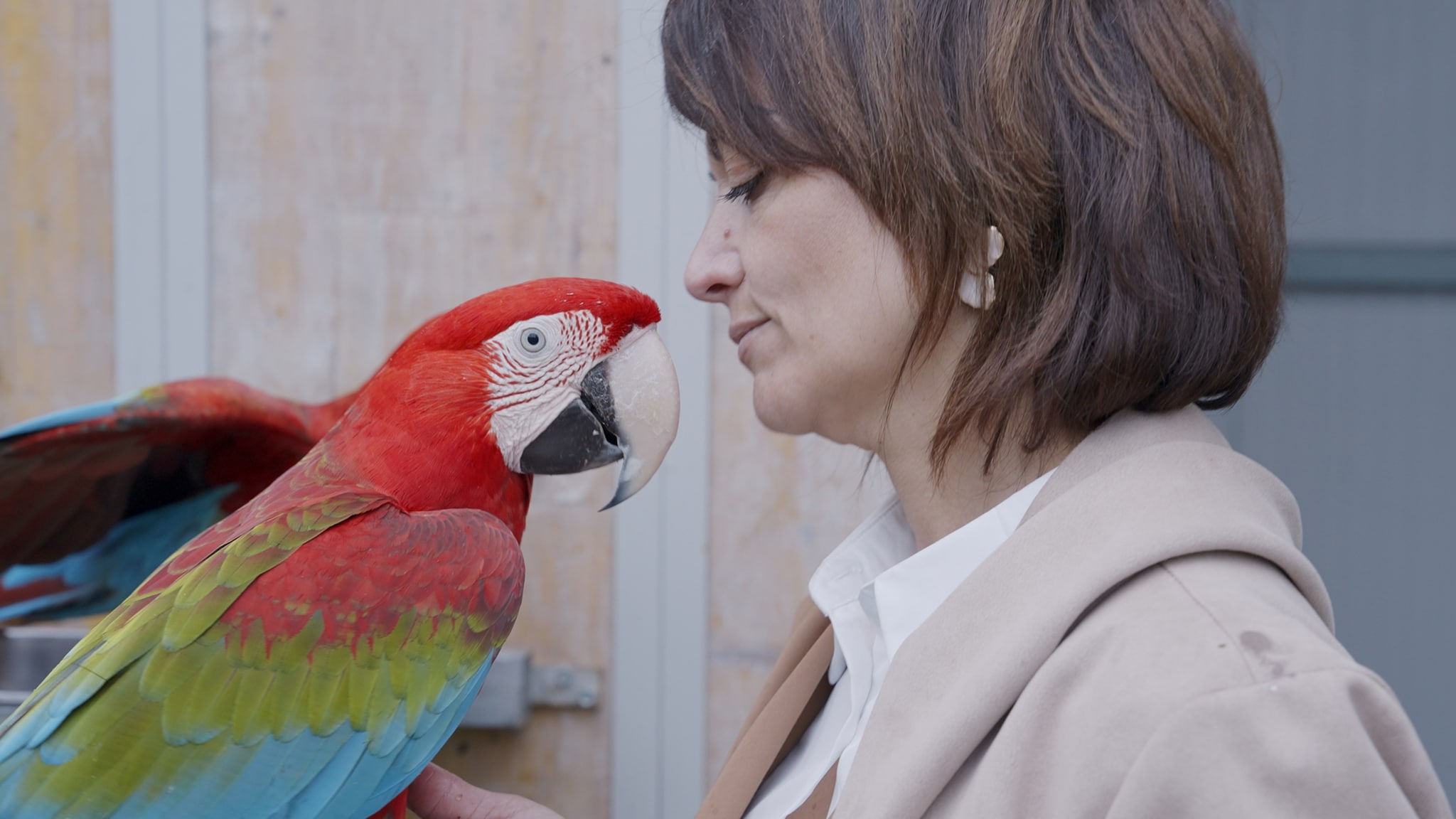 Pet Anatomy - Per amore e per coraggio - pt.7