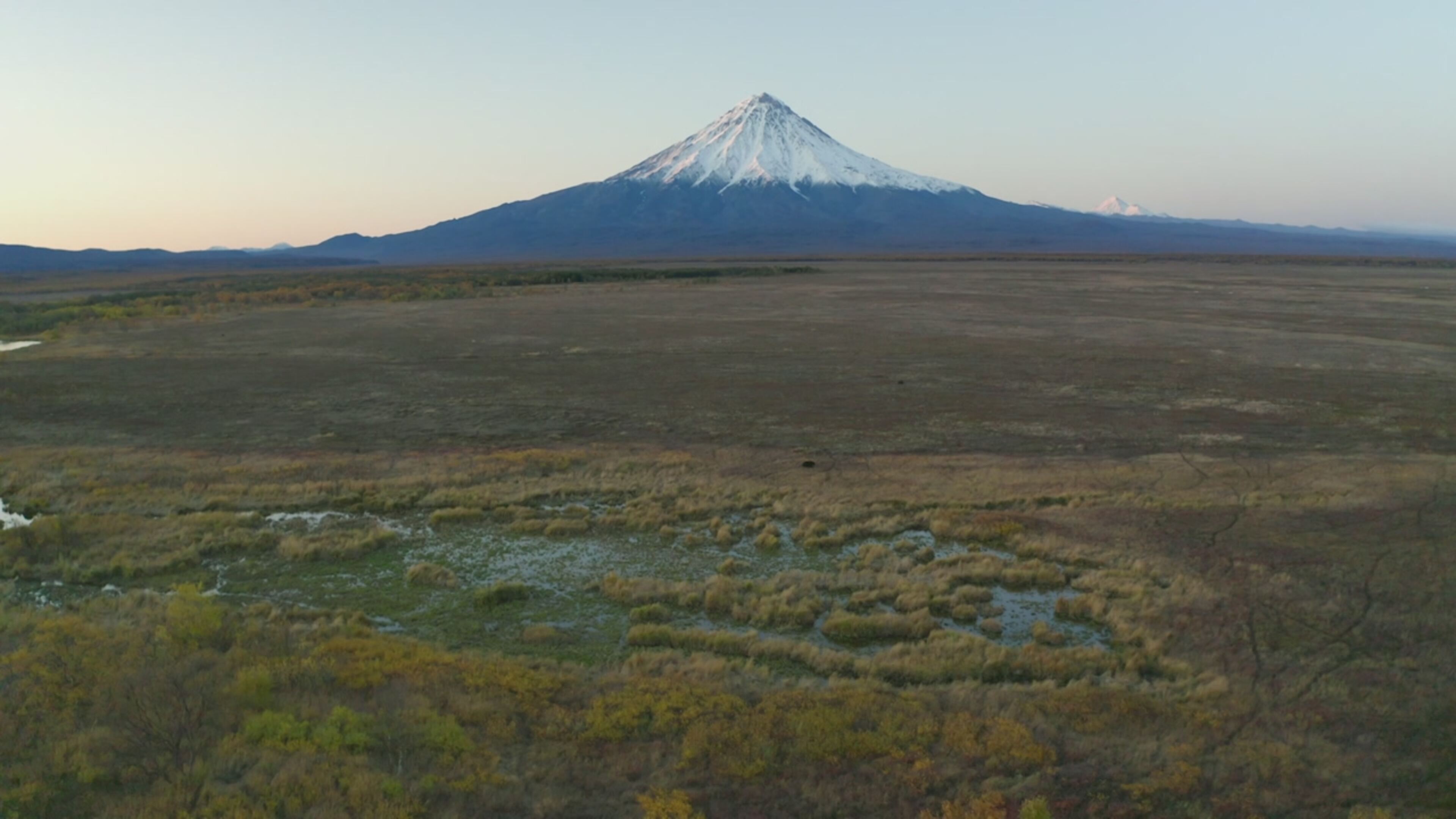 Steve Backshall: avventure intorno al mondo 2 - S2 Ep6 I segreti della natura incontaminata