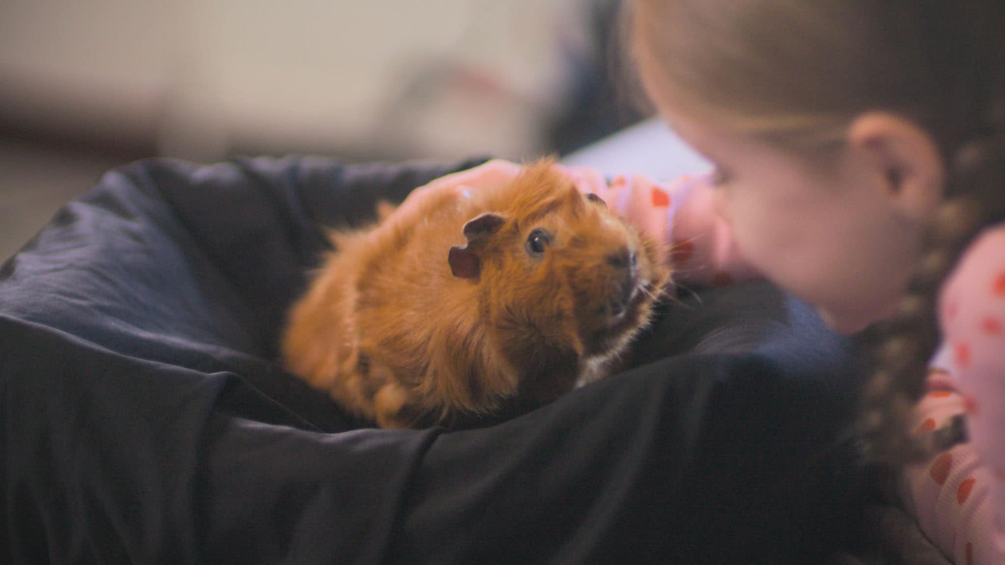 Olga da Polga - S1E12 - Olga la modella