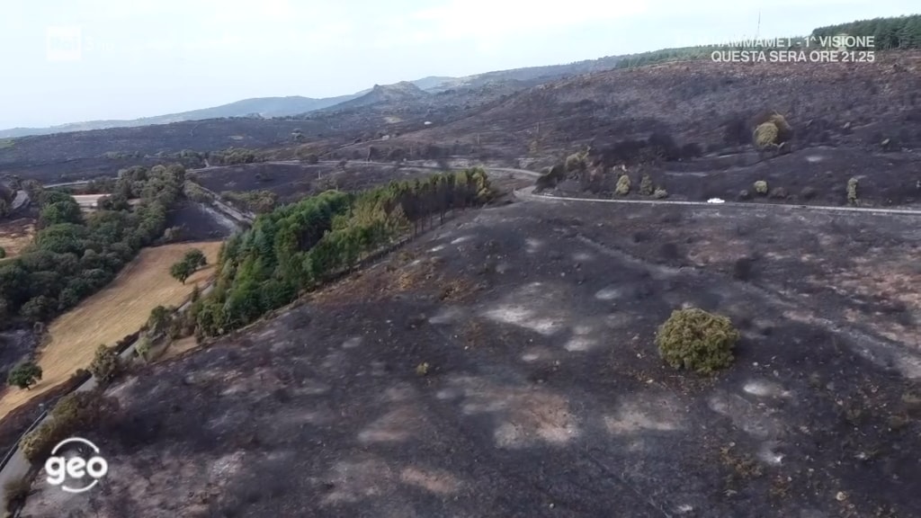La foresta del montiferru - Geo - 22/10/2021 - La foresta del montiferru - 22/10/2021