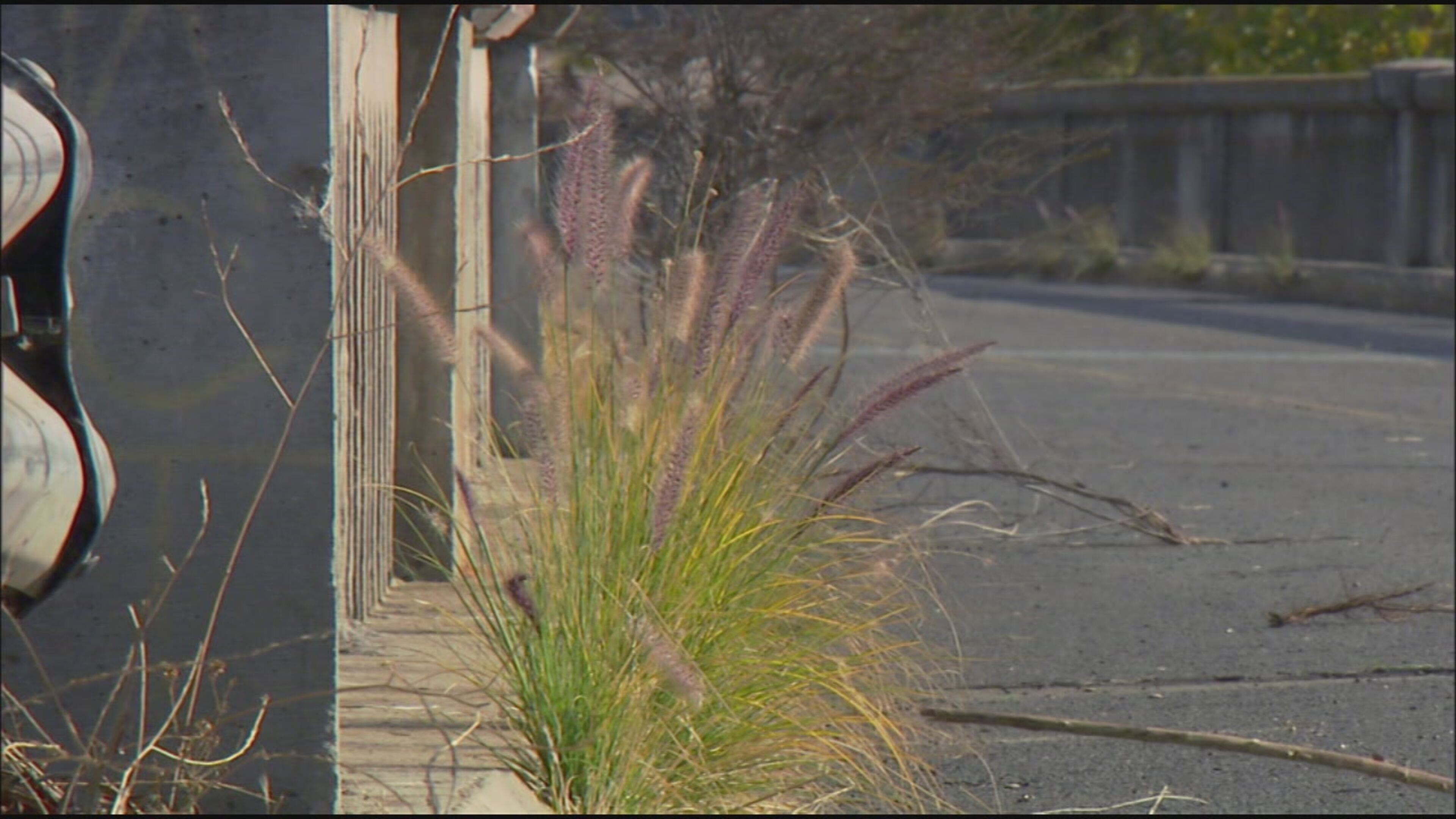 La terra dopo l'uomo - S1 Ep3 Il destino di una nazione