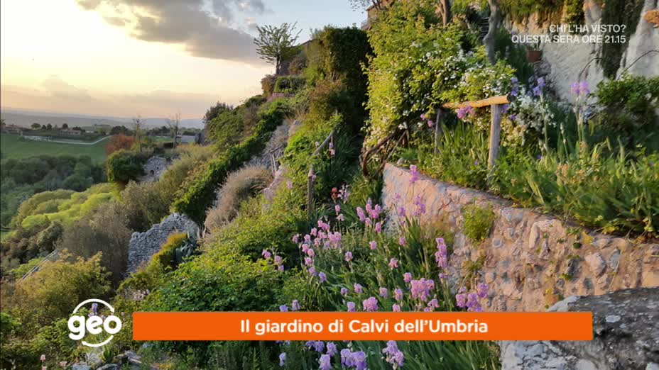 Il giardino di Calvi dell'Umbria
