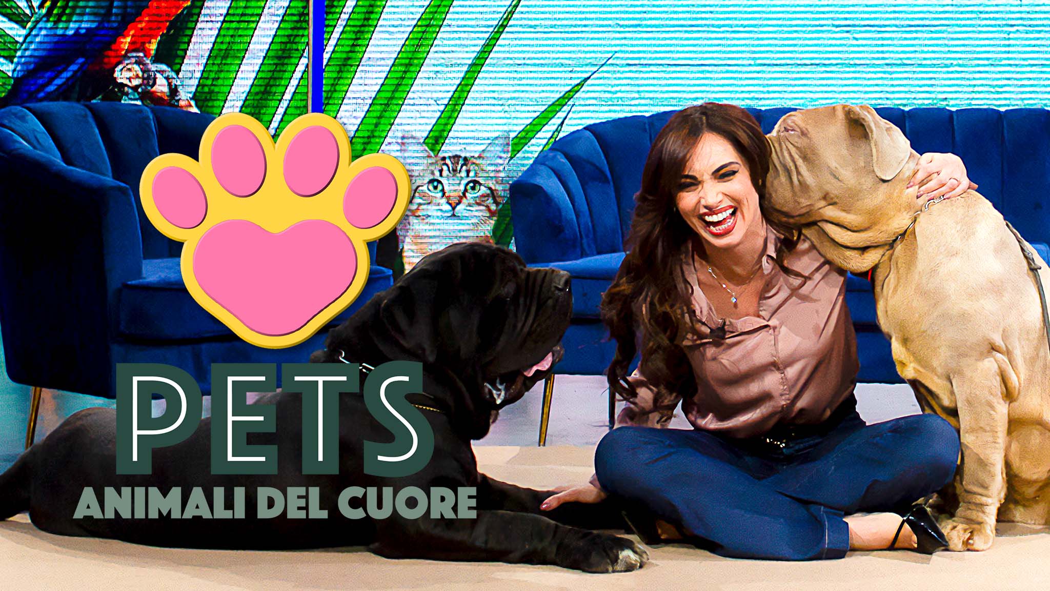 Pets - Animali del cuore - Puntata del 11/04/2026