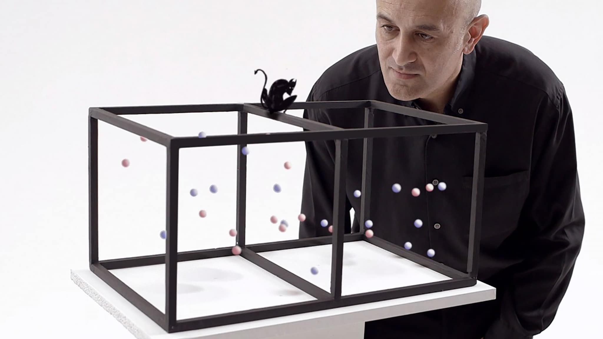 Ordine e Disordine Ep. 1 - L'energia