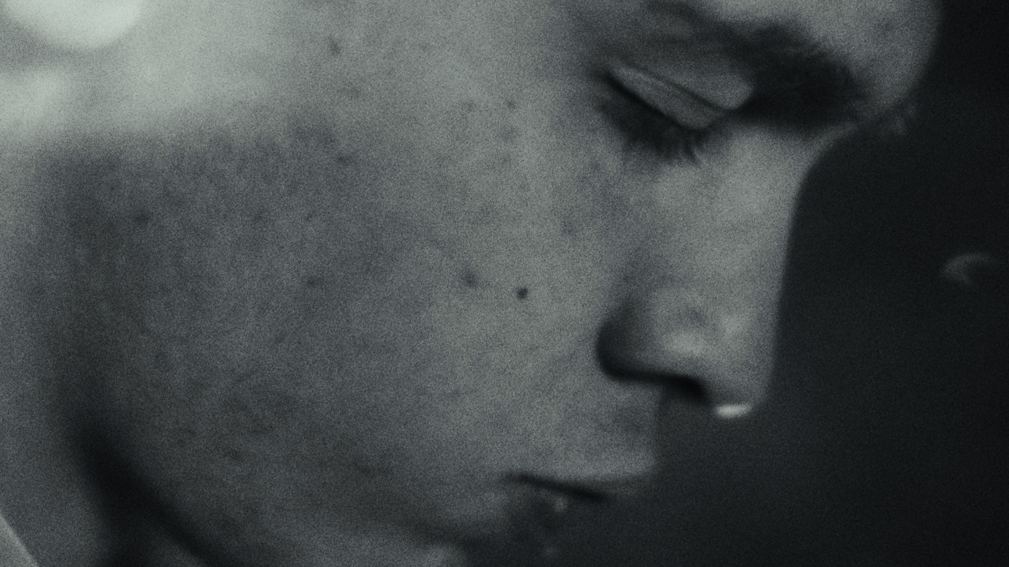 Nicola Matteucci, un intellettuale libe