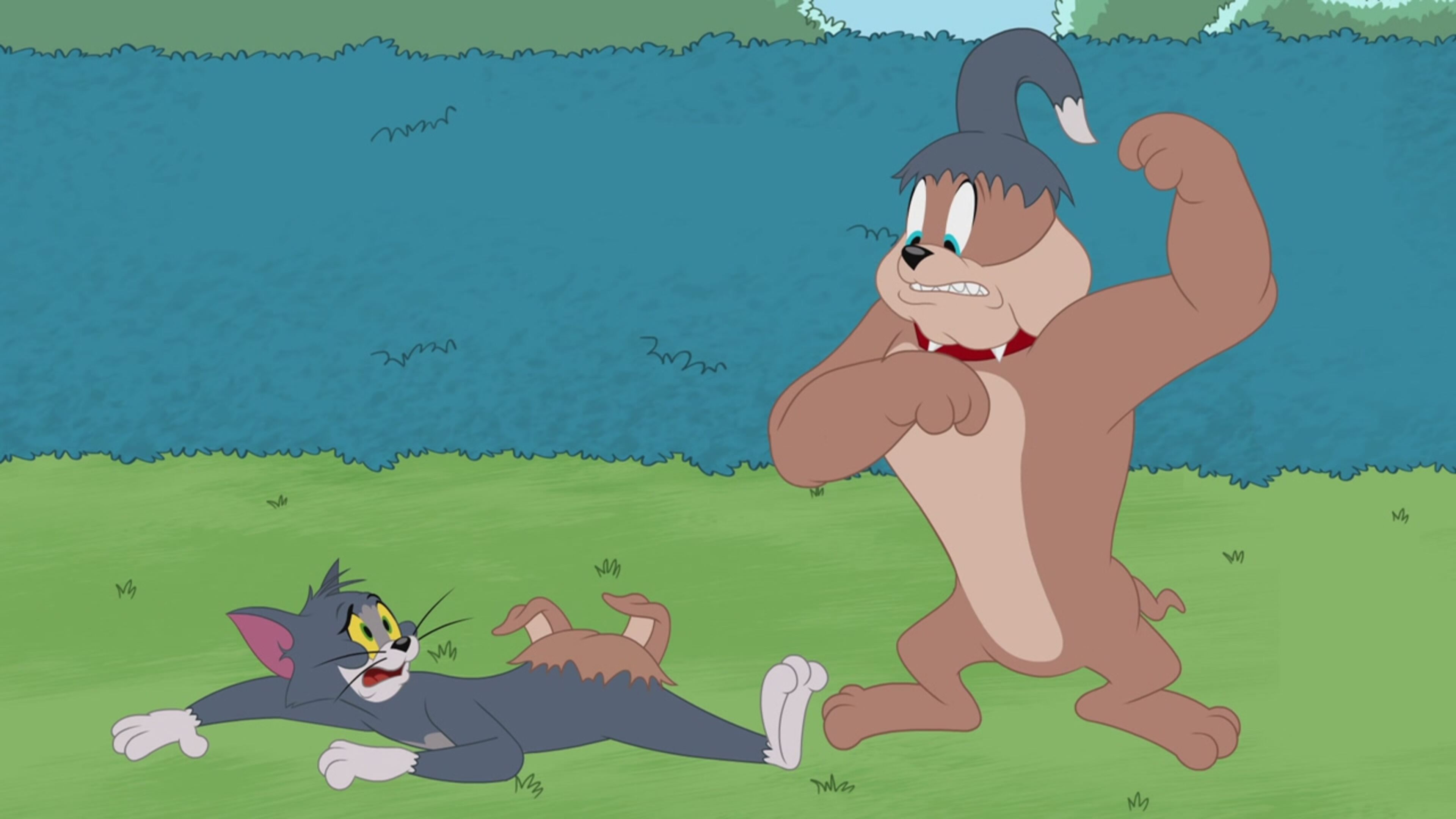 The Tom and Jerry Show - S3 Ep.53 - Gatto-cadabra