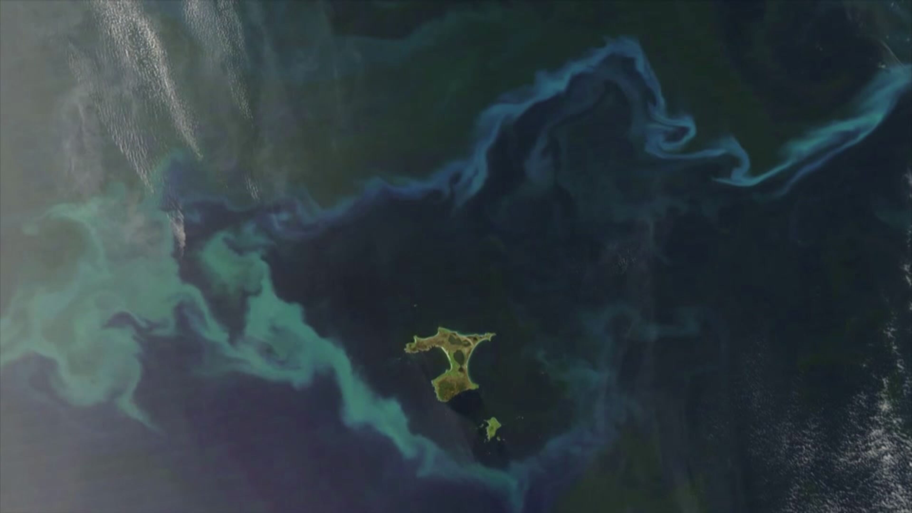 Cose di questo mondo - S1 Ep5 Corea del Nord